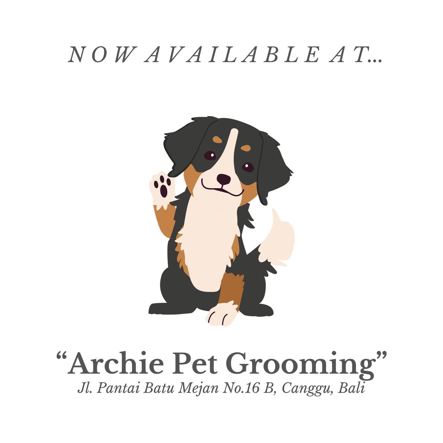 🐾 Hello Bali Furriends!
We’re so excited to share that our treats are now available at Archie Pet Grooming ✨
Make your pup’s grooming day even more special with a little reward from Benjamin’s Bakehouse because every fresh cut deserves a tasty treat! 🐶💛
Stop by and treat your furry bestie while they get pampered 🛁🐾
#benjaminsbakehouse #benjaminsbakehouselaunch