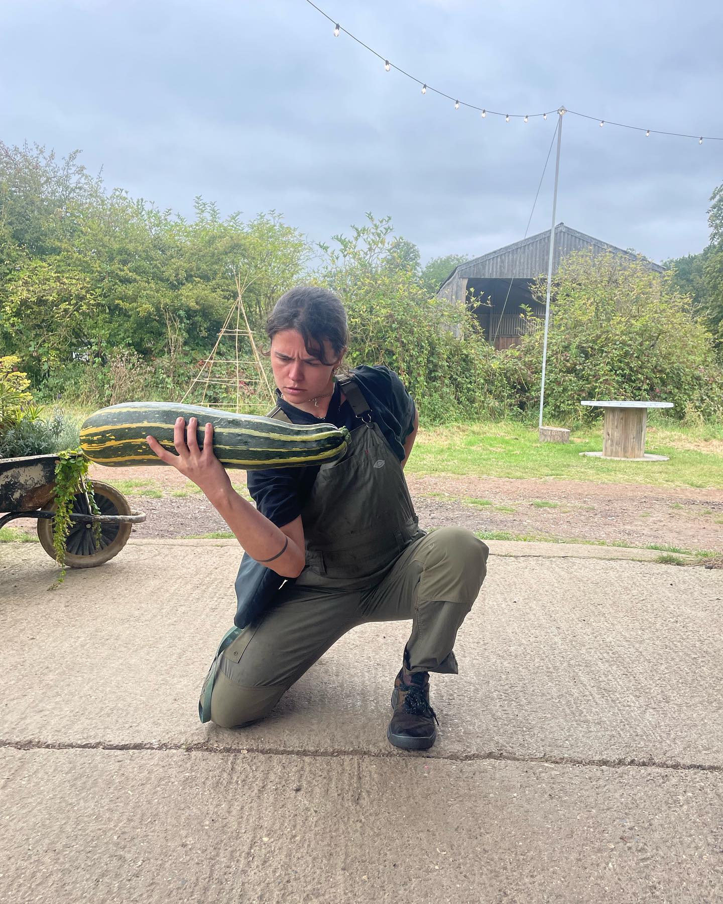 The marrow series.
.
.
.
.
.
.
.
.
#growyourownfood #urbangardening #gardenersoflondon #femalegardener