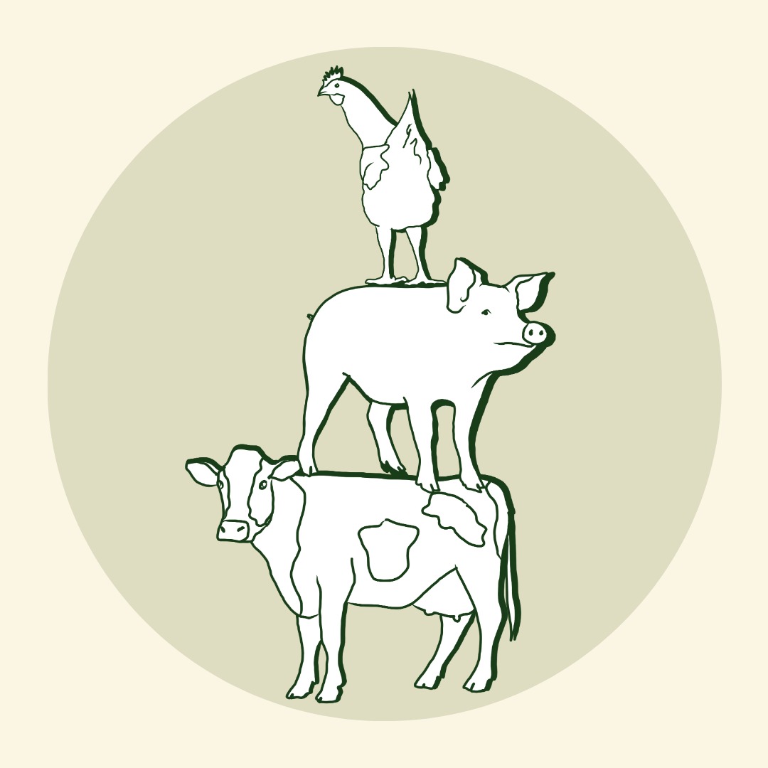 Op 16 april openen we de deuren van het Symbio Kunst Lab 🎨 bij @degroeneafslag.
Een plek waar creatieve makers, denkers en doeners samenkomen rond één vraag: wat kan verbeelding in beweging zetten, waar kennis en beleid stilvallen?
In 2026 staat de relatie tussen mens en dier centraal.
Kippen 🐔, varkens 🐖 en koeien 🐄 zijn overal - en tegelijk bijna nergens. Als een van de meest dierintensieve landen ter wereld, leven miljoenen dieren grotendeels buiten ons blikveld.
In het Symbio Kunst Lab onderzoeken we die blinde vlek. Wat doet afstand met onze morele verbeelding? Wat gebeurt er als we echt kijken, luisteren en ons proberen te verhouden?
Dit jaar werken we samen met:
@mark_schalken, hij werkt aan de ontwikkeling van het eerste koeienmonument van Nederland.
@lindertjemans van @firmames, zij ontwikkelt de eerste one-woman kippenopera ter wereld.
@pinopotato, zij werkt aan een artistieke activatie rond het varken.
We verdiepen het thema verder met:
Hoogleraar Bernice Bovenkerk @uniwageningen, zij neemt ons mee in het thema van onzichtbaarheid en de manier waarop dieren uit het morele en maatschappelijke zicht verdwijnen.
@MarjoleindeRooij van @vakbondvoordieren, zij spreekt over het gevoelsleven van dieren. Wat verandert er als we erkennen dat dieren ook geluk kunnen en mogen ervaren?
📣 Werk je ook aan een idee, project of fascinatie rond dit thema? Je bent welkom om 16 april aan te sluiten. Mail naar h.sanders@stichtingsymbio.nu. Er is beperkt plek beschikbaar.
Meer weten? stichtingsymbio.nu/kunst-lab
Illustratie: @gemmareuten
#SymbioKunstLab #verbeelding #kunst #dieren #kunstvoorverandering #dierenwelzijn #kunstencultuur #creatievemakers