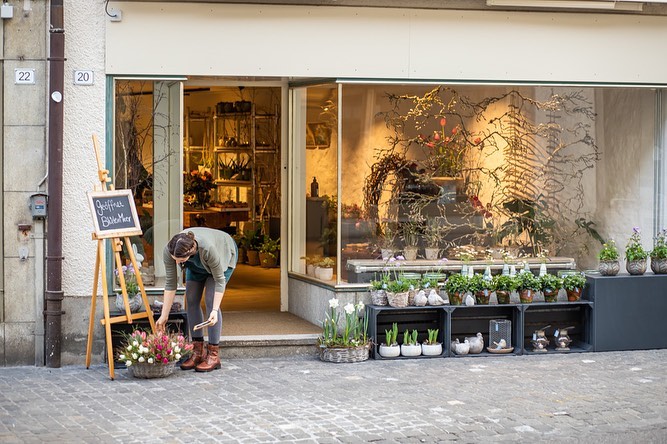 #sagesmitblumen #durchdieblume #tulpen #zimmerpflanzen #altstadt #brugg #bluemengeschäft #blütenduft #dekoration #lieblingsgeschäft #floristin #hochzeit #schenkenmachtfreude @blueten_meer_