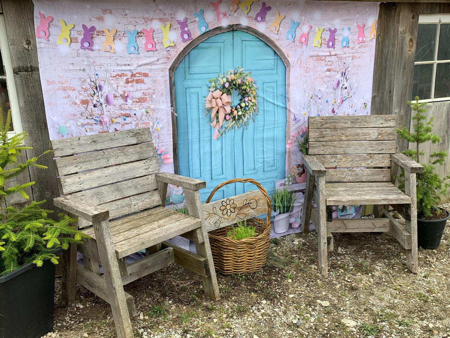 Easter is almost 2 weeks away!!!
Have you gotten your Easter Egg Hunt & Fun tickets yet?
Join us and enjoy 2 egg hunts, fun crafts, cool games, cute Easter cartoons, prizes and More!
https://www.eventbrite.ca/e/easter-egg-hunt-fun-tickets-1977143026014