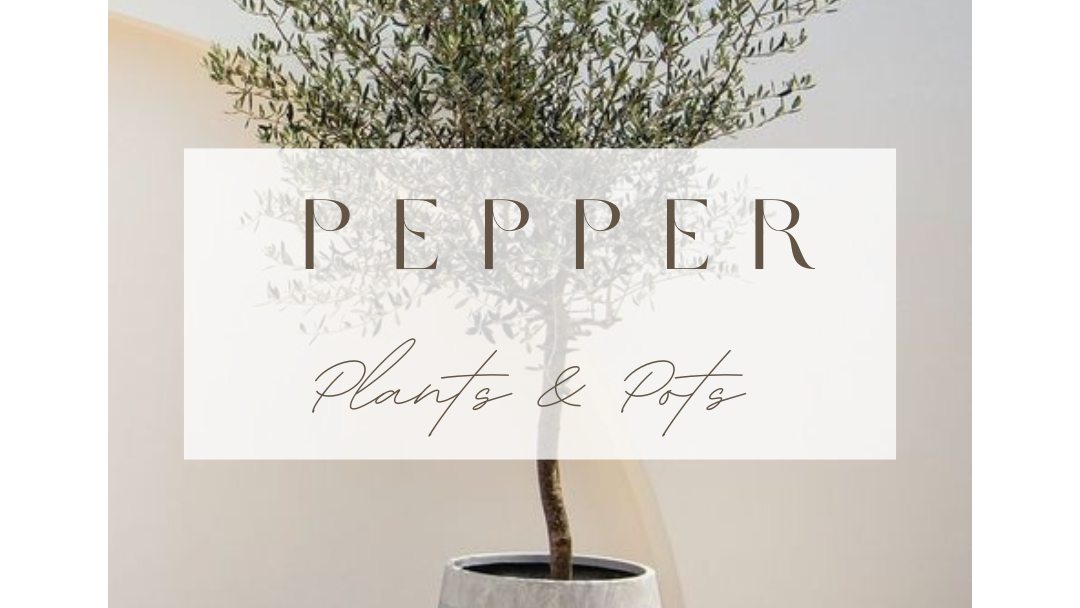 ¿Un rincón aburrido en el jardín? Transformalo con 3 ideas fáciles: planta alta + maceta protagonista, capas de texturas y luz ambiental. Pequeños cambios, gran impacto. Link in Bio
#decoracionargentina #homestyling #rinconesconencanto #plantasydiseño #tipsdedecoracion #interiorismo