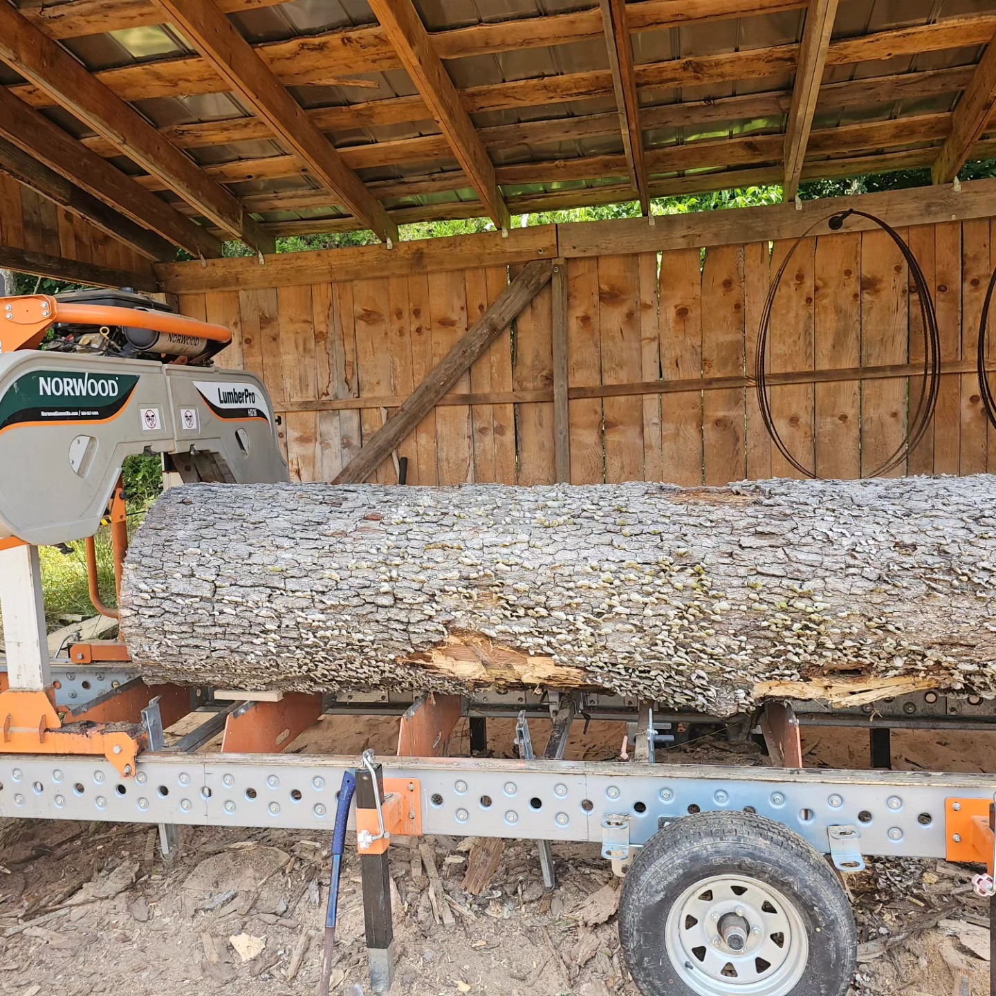 Who says Norwood can't do the big logs! This is a monster white oak. 32" at the end and 12' long.
#sawmillbusiness #localbusiness #locallumber #norwoodsawmill #norwood