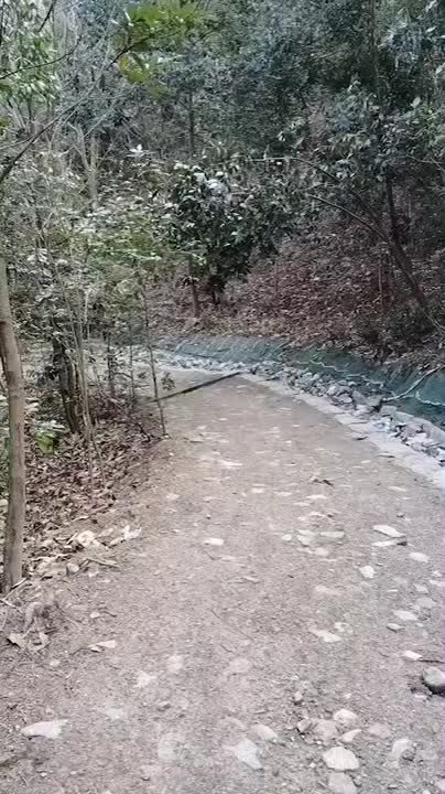 春待つさいわいのもりです。もうすぐ、山桜の開花、木々の目覚めを迎えます。
さいわいのもり
墓園管理法人眞光寺