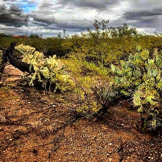 Before and After for a building pad #buildbuildbuild
