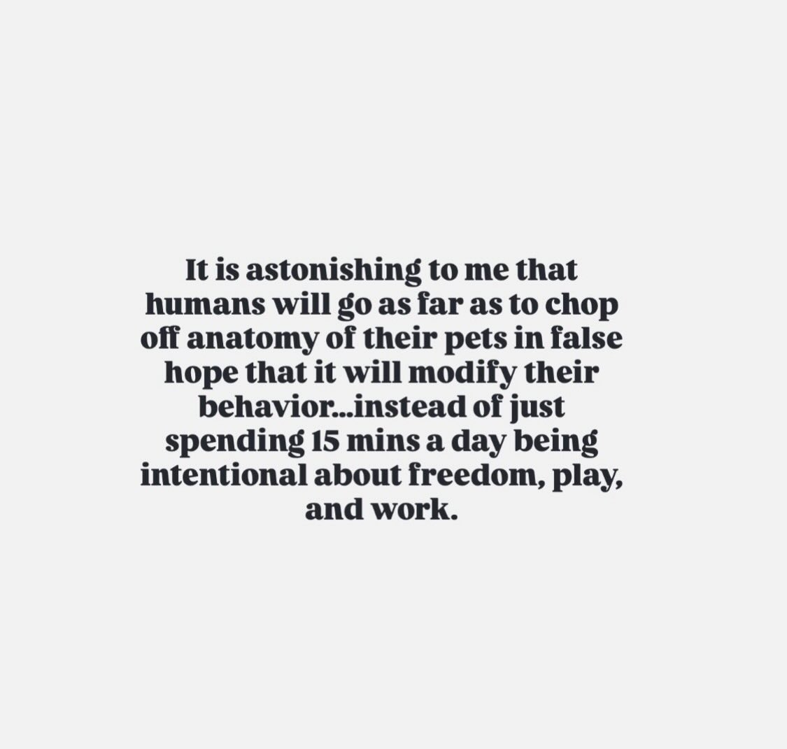 Veterinarians, “Behaviorists,” rescue groups, and Ignorant Dog Trainers are all guilty of it.
“Get them fixed,” they say. As if it’s the fix they want. There is a psyop in this phraseology that causes people to believe it’ll solve all their problems.
It won’t. Spaying and neutering often creates more. I wonder if we looked at the data if the massive pressure to spay and neuter made any overall impact in the underserved animal populations or animal welfare in the United States.
I think it’s worth looking into. But there’s another industry that was propped up by the messaging of the industry - veterinarians. I have watched the price of simple ass procedures nearly triple in the last ten years. Now we’re having to take out insurance on our pets?! Come on man.
When the pressure and the price for something go up at the same time, pretty good chance there’s something afoot.
#psyop #spayandneuter #intactinfact