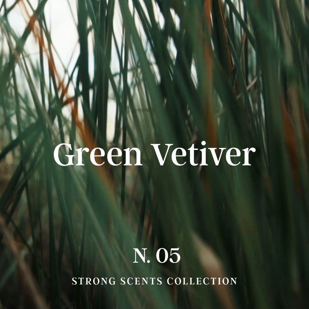 GREEN VETIVER, un equilibrio perfetto tra freschezza e profondità. Sprigiona note verdi e leggermente terrose, per una sensazione di pulizia intensa ed energizzante.
La lavorazione triple milled garantisce una schiuma ricca e una lunga durata, mentre glicerina e burro di karité lasciano la pelle morbida e confortevole.
Un gesto quotidiano che diventa rituale.
Scopri la nostra collezione 🌿
GREEN VETIVER
The perfect balance between freshness and depth.
Releases green, slightly earthy notes for an intense, energizing feeling of cleanliness.
The triple-milled process ensures a rich lather and long-lasting performance, while glycerin and shea butter leave the skin soft and comfortable.
A daily gesture that becomes a ritual.
Which scent represents you? 🌿
#GreenVetiver #StrongScents #SaponificioZeni #MensGrooming #FreshScents #EarthyNotes #LuxurySoap #DailyRitual #CleanSkin #MadeInItaly #Vetiver #SelfCareDaily #italiansoaps