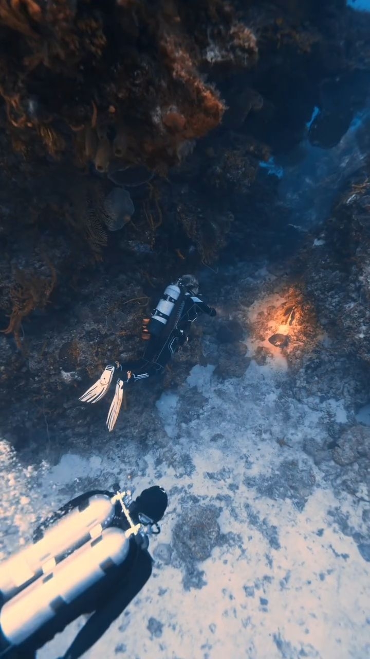Meet Rich, one of the instructors who makes every dive fun, relaxed, and unforgettable. 🤿
Dive with Rich is like a full experience from gearing up and heading out to exploring the reef and discovering the incredible marine life of Cozumel 🙌🏾.
Our team is what makes every dive special, and we love sharing the people behind your underwater adventures.
Ready to dive in? Send us a message or book your next dive with us today! 🌊
#cozumel #AldoraDivers #diving #scuba #scubadiving