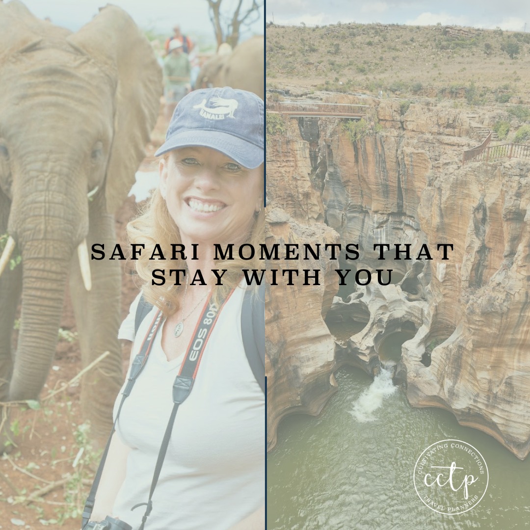 There is a moment on safari when the vehicle goes quiet and all you hear is birdsong, wind, and the soft rumble of the engine. Maybe a herd of elephants crosses in the distance, or a giraffe pauses to watch you watching it. Those are the moments that stay with you long after you return home.