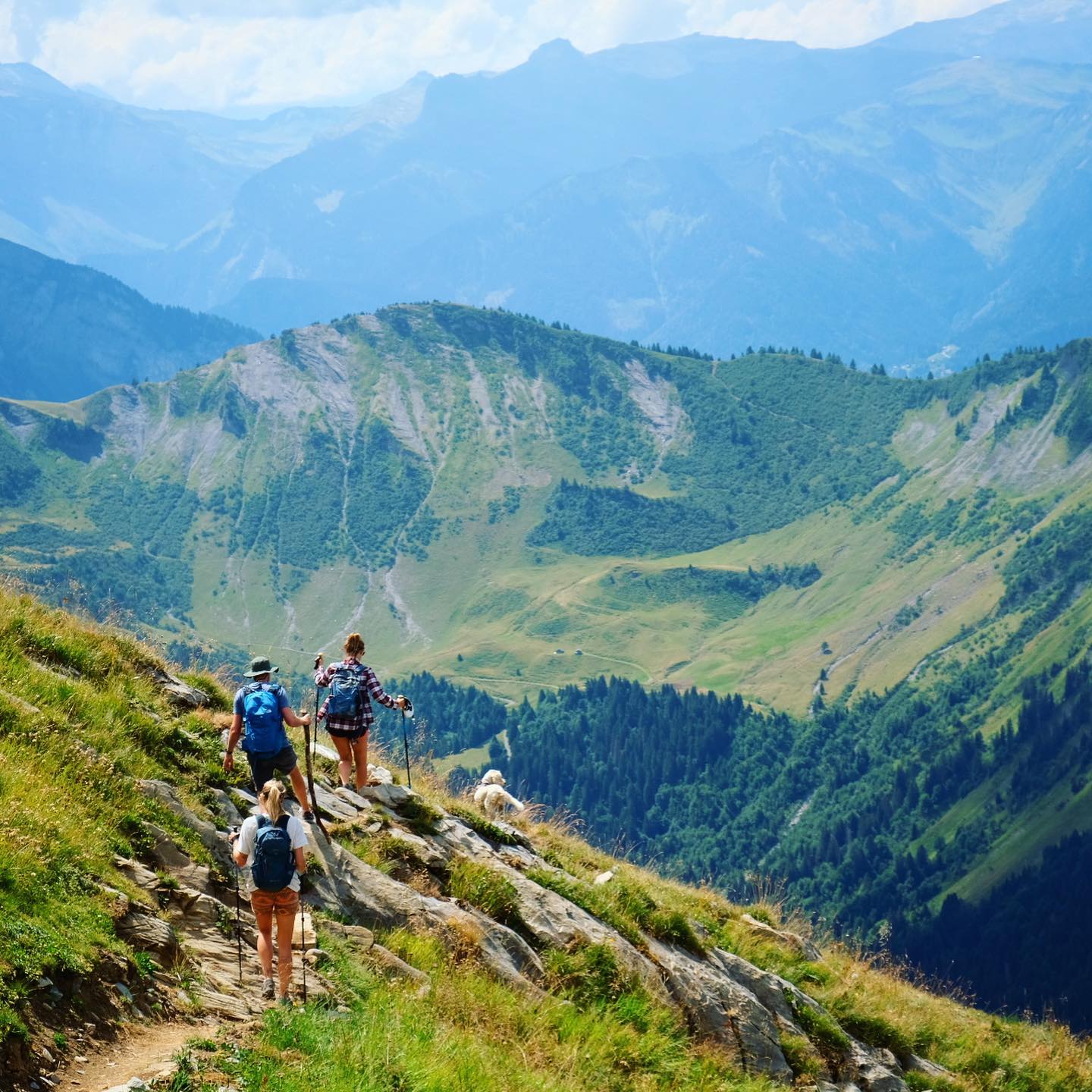 A few of my favourite snaps from a recent spontaneous trip to one of my favourite places on earth.
📍Morzine
#morzine #mountains #mountainhiking #alps #adventure