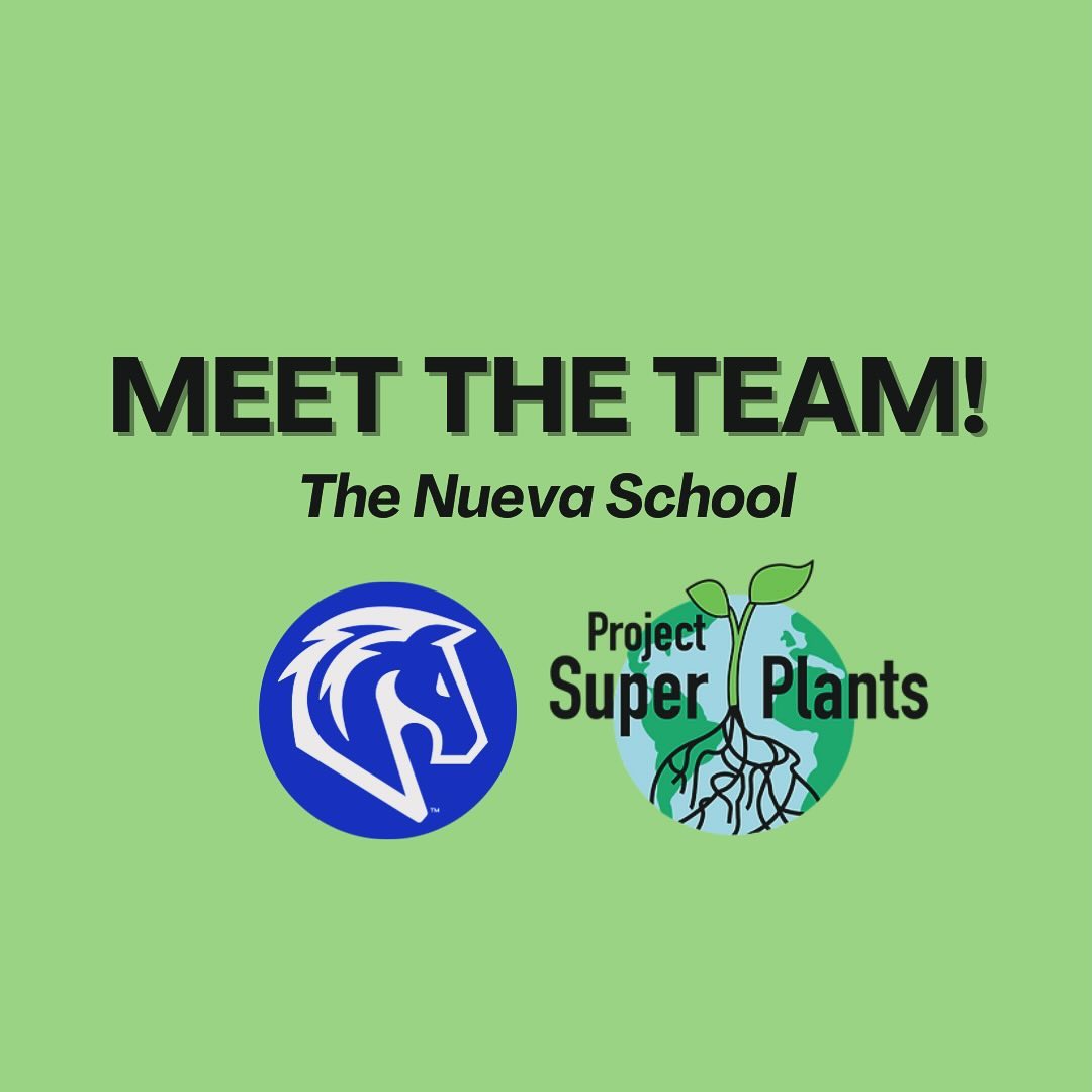 Meet The Team: Nueva Edition!!
