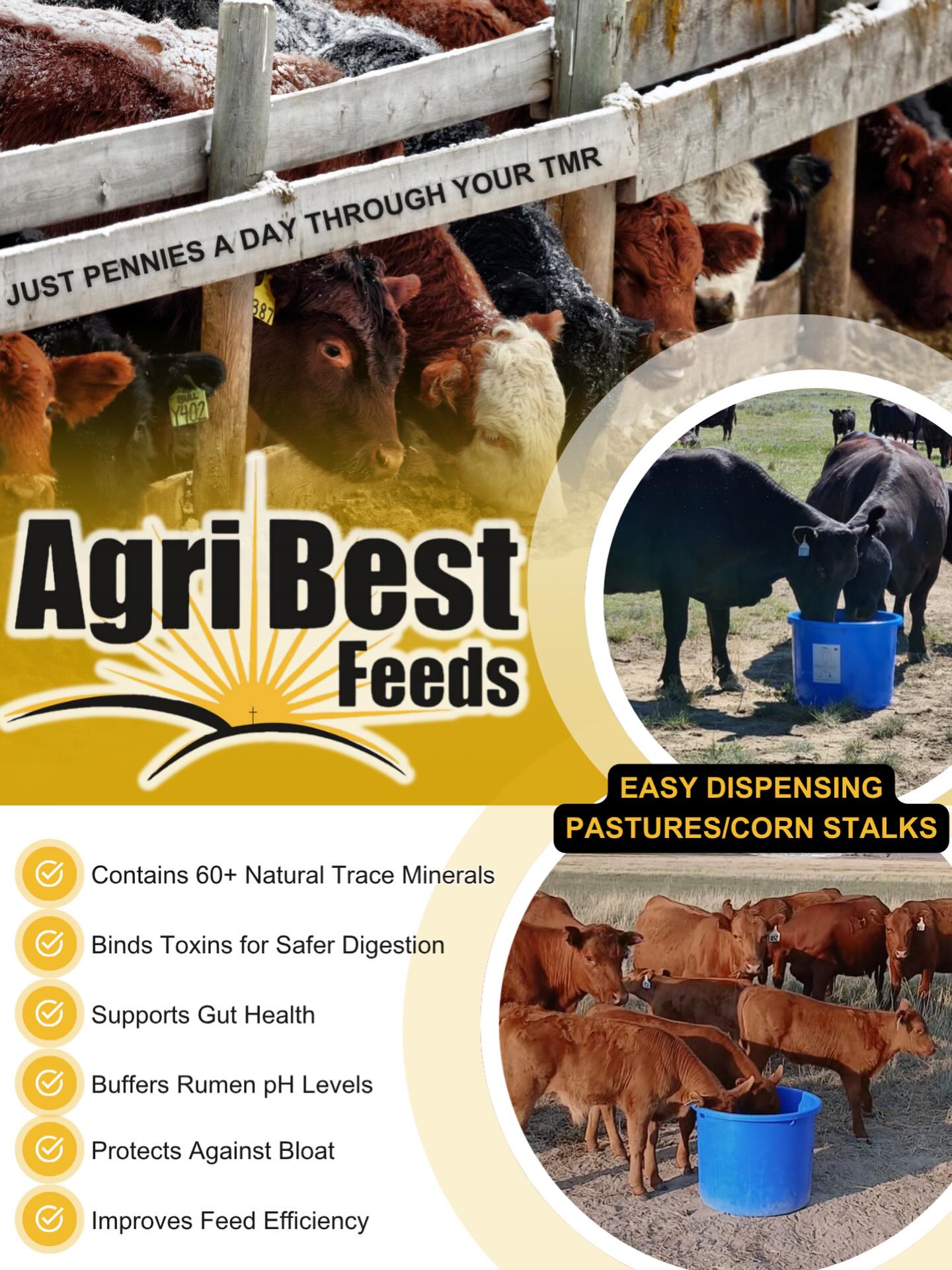 Big results don’t have to come with a big price tag.
Add Conditioner from AgriBest Feeds to your TMR for just pennies a day or free choice RumenEdge to support better digestion, improved feed efficiency, and stronger performance where it starts — in the rumen.
Small investment. Real returns.
#AgriBestFeeds #CattleNutrition #RumenHealth #FeedEfficiency #RanchLife