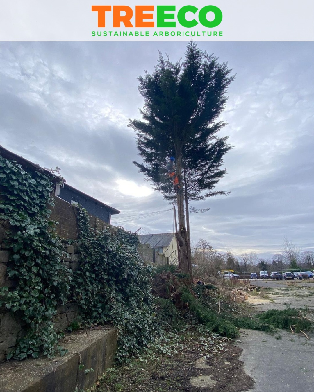 Boundary wall clearance completed for a commercial client to allow safe access for a structural architect’s professional inspection before building works begin.
Vegetation and overgrowth were carefully removed from the wall line, including heavy ivy that had become established on the masonry. Multiple self-set trees and several large Leylandii were also removed to fully expose the boundary structure.
An ecologist was present on site throughout the works to check for nesting birds and ensure all clearance was carried out responsibly and in line with environmental considerations.
The wall is now clear and ready for detailed inspection so the next stage of the project can move forward safely and efficiently.
#siteclearance
