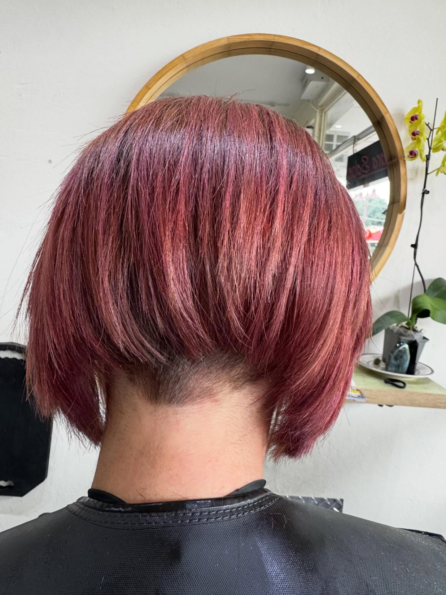 ✨☀️👌💛✨ 🤞 #neutralbay #kurrabapoint #milsonspoint #mosman #cremorne