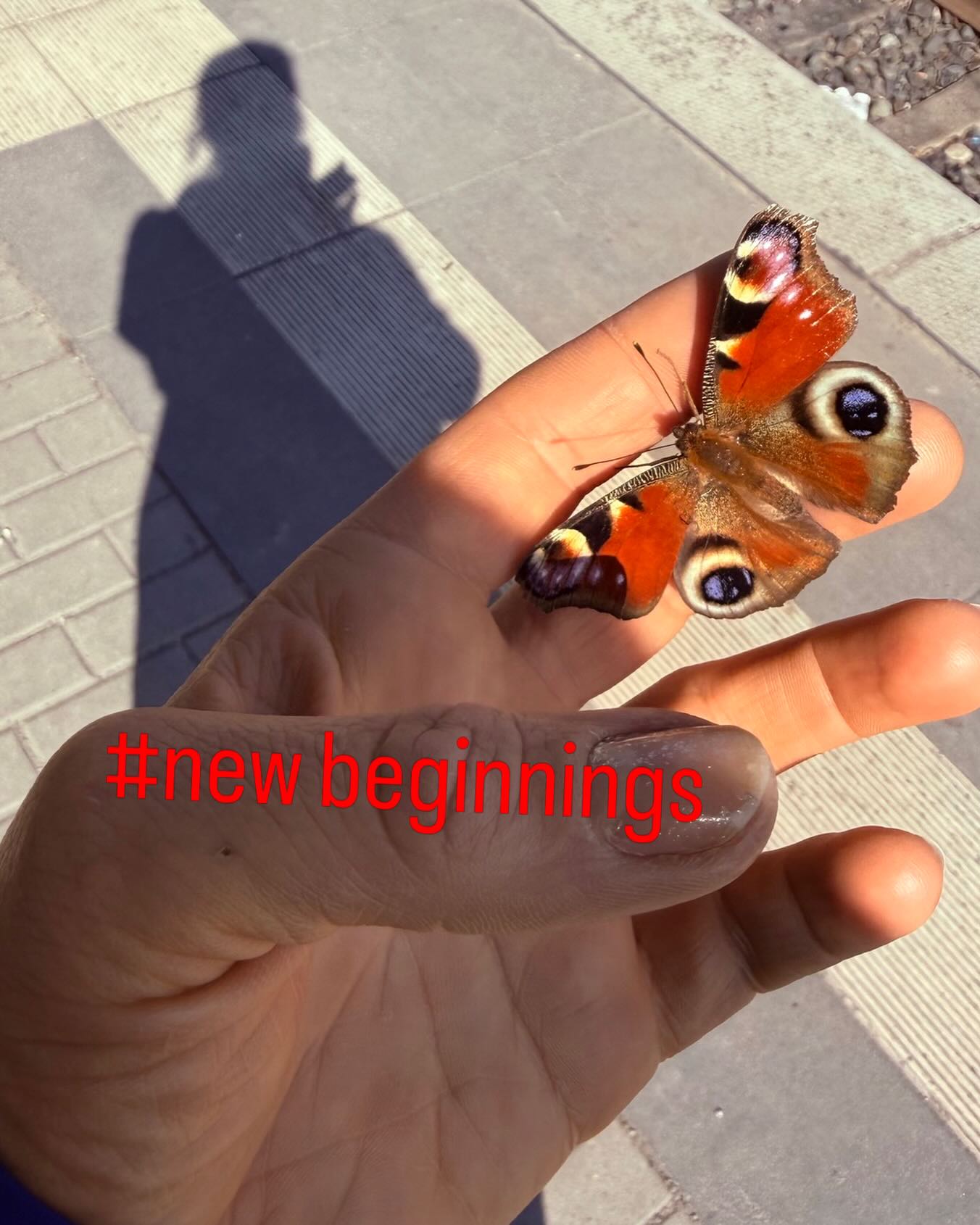 Schwere Zeiten. Frühlingsglaube!