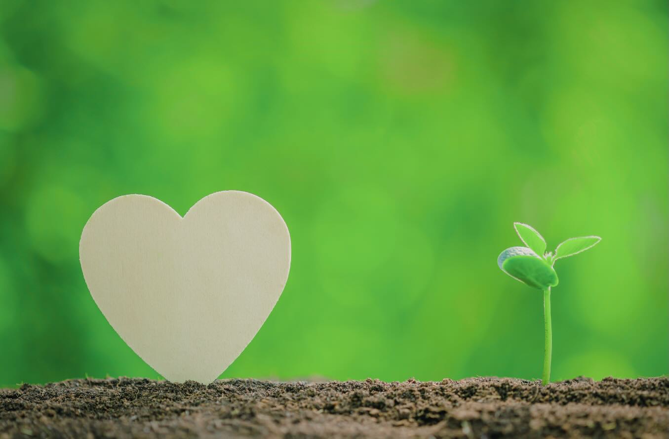 The sun’s out ☀️perfect time to test your soil!
Warmer, drier conditions mean better samples and clearer results. Check nutrients, spot contamination risks, and grow with confidence.
Healthy soil = healthy food 💚
#SafeSoil #SoilHealth #GrowYourOwn