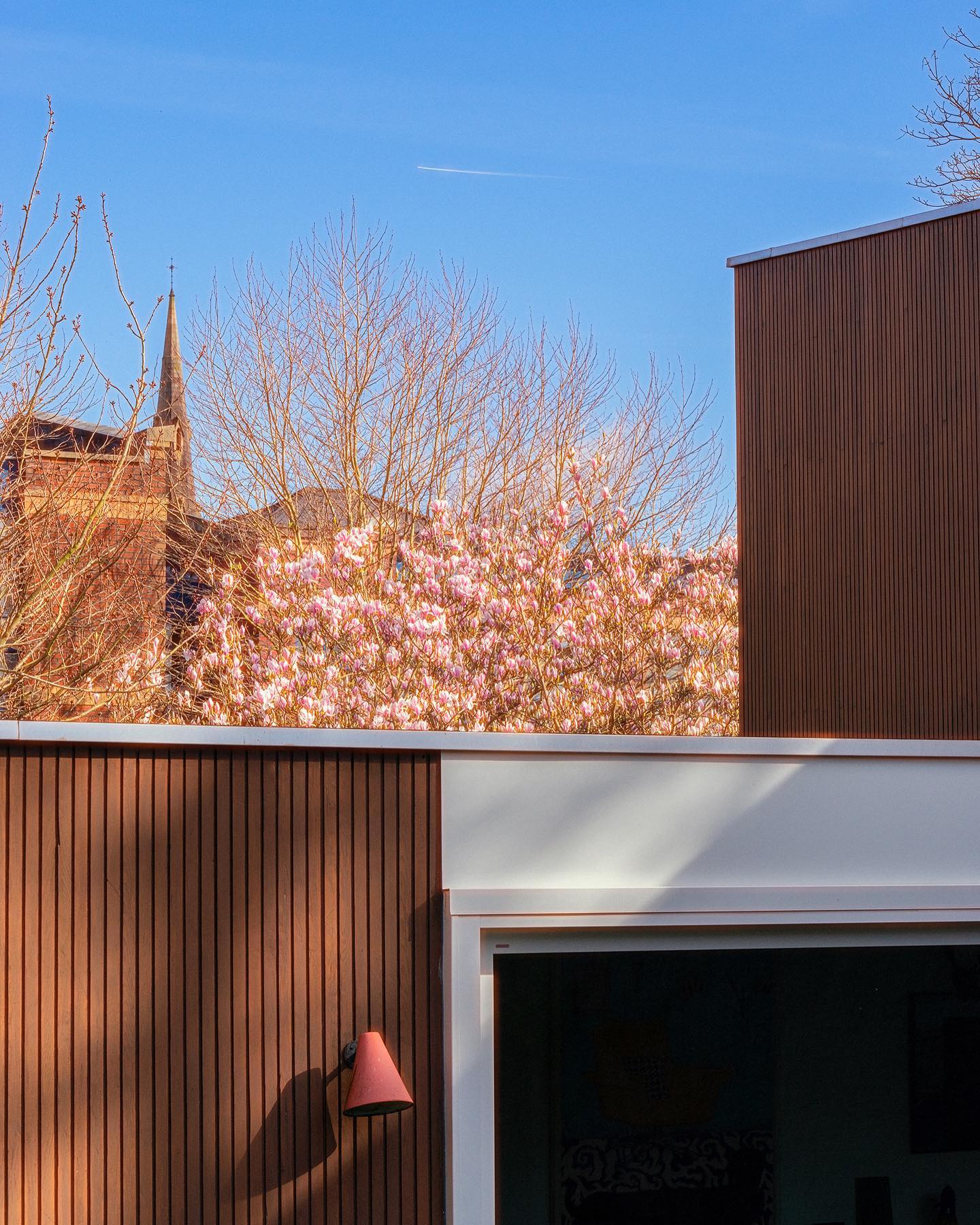 Finally! The magnolia’s come out to play, and there’s even a rainbow 🌈 on the marble floor… good times… #rainbow #magnolia #spring #modernarchitecture #belfast #marblefloors #homegallery