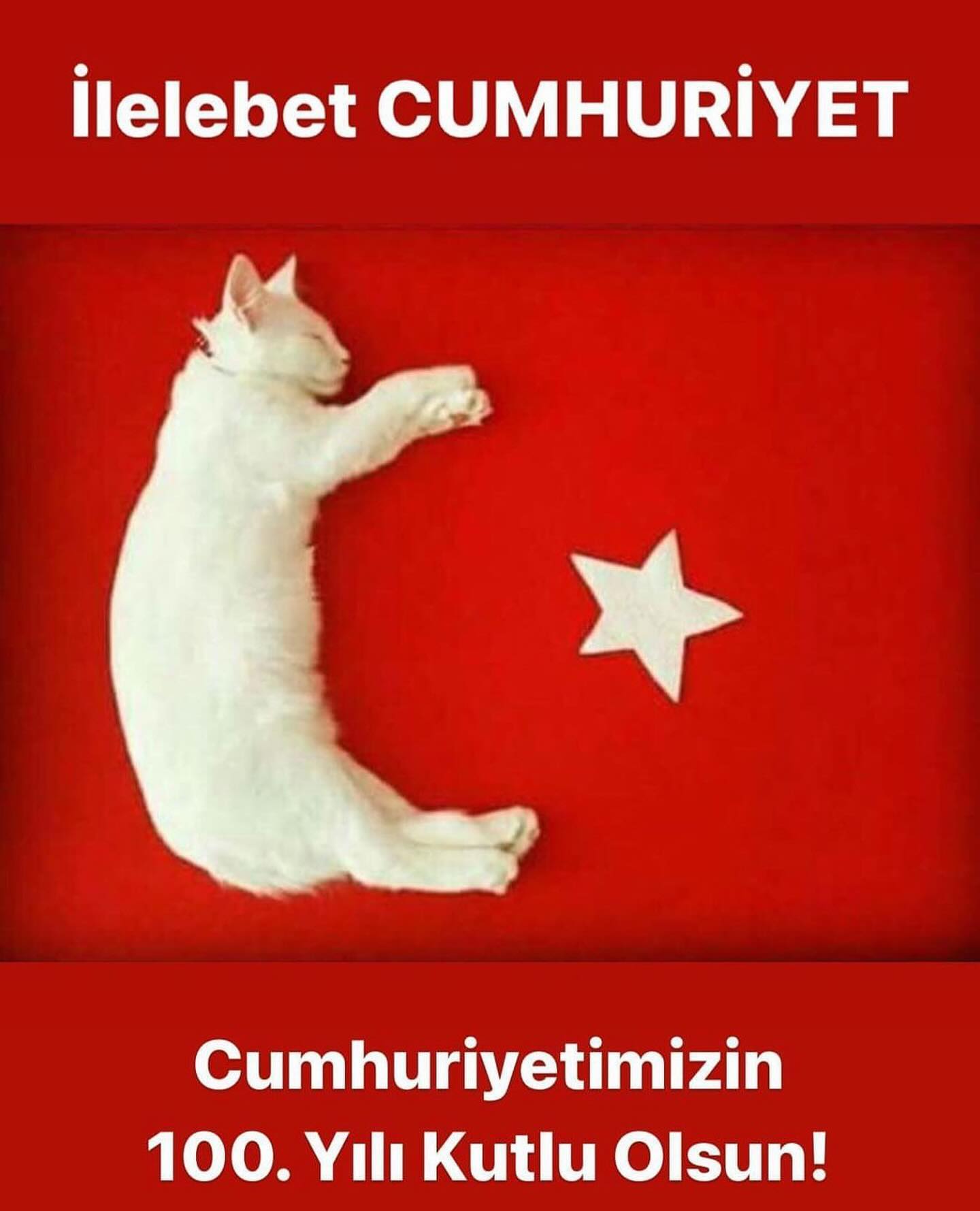 Ata’mızın izinde Cumhuriyetimizin 100. Yılı kutlu olsun! 🇹🇷🇹🇷🇹🇷🇹🇷♥️🤍♥️🤍♥️🤍🎈🎈🎈🎈🎈🎈
#ilelebetcumhuriyet 🇹🇷 #sonsuzadekcumhuriyet