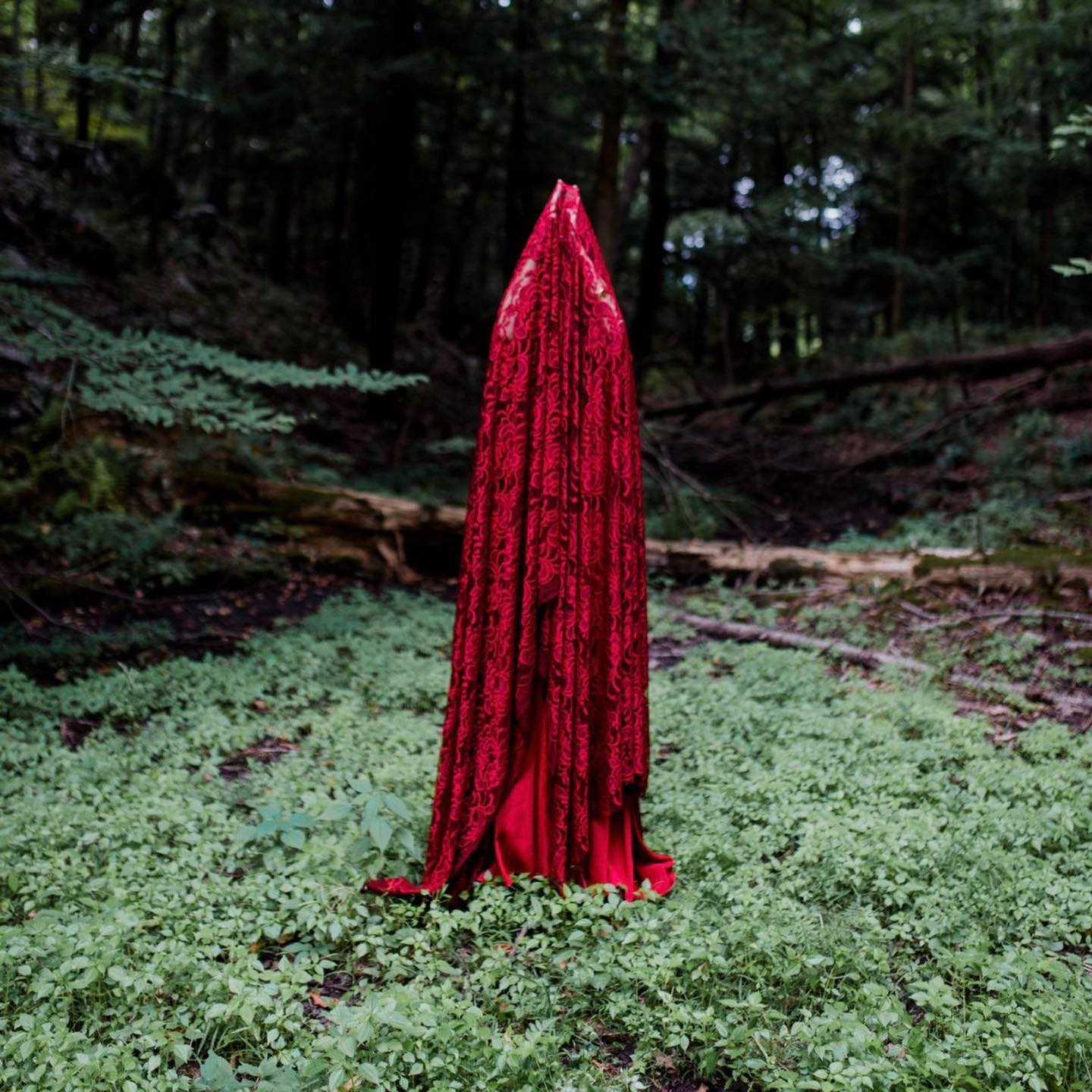 🪷🩸🪷I often think of liminality, the edges between inside and outside, seen and unseen, matter and spirit. Esoteric and exoteric. Veils released. Skins shed. The metamorphosis of form. The fluidity of expression. These photos were taken in 2020, in my 55th year, by @ofbreathandbone_ @rhinevalleyfarm in a secret hollow only fully accessible in the early autumn.No filters. Only veils released and revealed. ♥️#MotherEarth #GaiaCodex #sacredfeminine #priestess #priestesspath #goddessrising #earthwisdom #femininewisdom