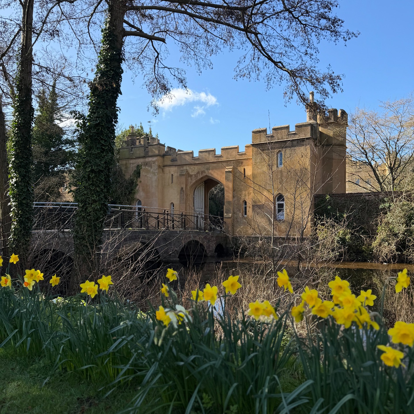 Some places host weddings.
Others create a moment you feel before it even begins.
At Ditton Manor, your story starts here - crossing the bridge, leaving the outside world behind, and stepping into something timeless.
The water still.
The gates ahead.
And the quiet feeling that this is exactly where you’re meant to be.
Before the vows.
Before the celebration.
There is this moment.
And you’ll never forget it.
✨
If you could begin your forever anywhere… would it look like this?
#DittonManor #BerkshireWeddings #LuxuryWeddingVenue #WeddingInspiration #UKWeddings #WindsorWeddings #HistoricVenues #DreamWedding #EngagedUK #WeddingPlanning #VenueGoals
