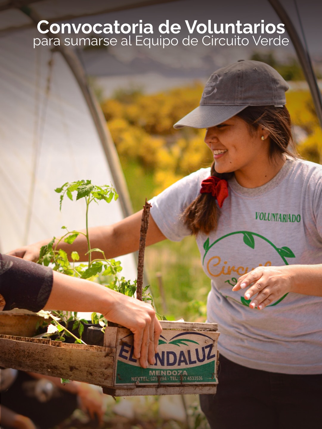 🌱 Convocatoria a Voluntariado 2026 🌱
Desde 2016 venimos construyendo Circuito Verde como un espacio colectivo, que se piensa, se organiza y se sostiene entre muchas personas.
Para que cada jornada en el bosque, en la huerta o en una escuela suceda detrás hay encuentros, planificación, coordinación, comunicación, aprendizajes y decisiones compartidas.
Hay tiempo, hay energía, hay compromiso.
Y sobre todo, hay equipo 💚
Por eso abrimos esta convocatoria:
para sumar a quienes tengan ganas de involucrarse en ese proceso, de ser parte de lo que no siempre se ve pero hace que todo suceda.
👉 Ser parte del equipo implica:
• participar en uno de nuestros programas o área de trabajo
• ser parte de encuentros de planificación (2 al mes)
• involucrarse en la organización y desarrollo de las actividades
Es un compromiso, sí.
Pero también es un espacio de aprendizaje, de encuentro y de construcción colectiva.
⚠️ Si hoy tu disponibilidad es solo para sumarte a jornadas puntuales (plantaciones, huerta, etc.), te recomendamos seguirnos y estar atenta/o a las convocatorias abiertas a la comunidad. Avisamos de las jornadas por instagram y por nuestro grupo de difusión de whatsapp.
📝 Inscripción a través del formulario (link en bio): https://forms.gle/1Cv6Ukurx7XixtS56
📅 Hay tiempo hasta el miércoles 25 inclusive
Si sentís que este espacio te hace sentido, te invitamos a dar ese paso y sumarte ✨