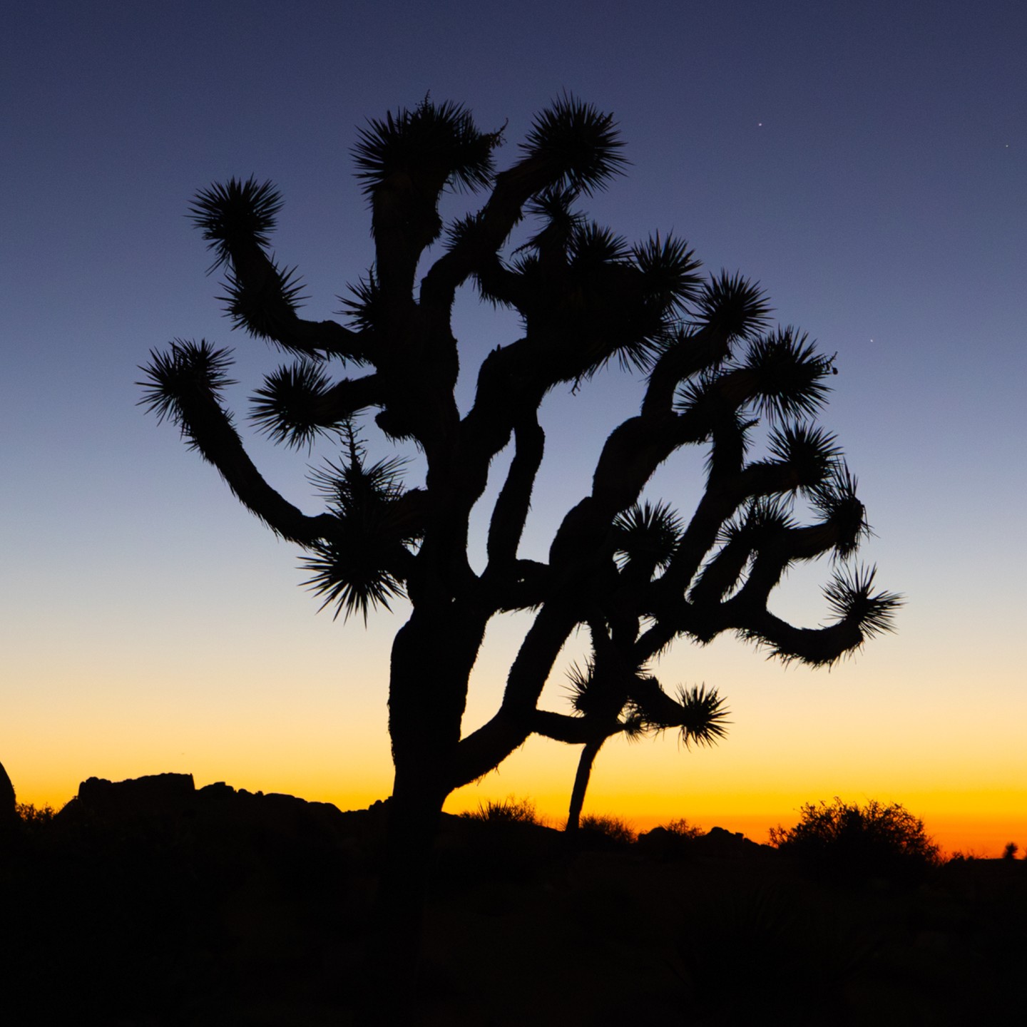 (2 of 3) Joshua Tree Sunrise Photo. This was my favorite image from a recent adventure to Joshua Tree National Park. We made a video about this on our Youtube Channel @DesignShootBuild, We share behind the scenes and tips for what heart to take out on a trip like this. @canonusa #canonR5, #landscapephotography, #picofthday, #fineartphotography, #joshuatree, #sunsetphotography
