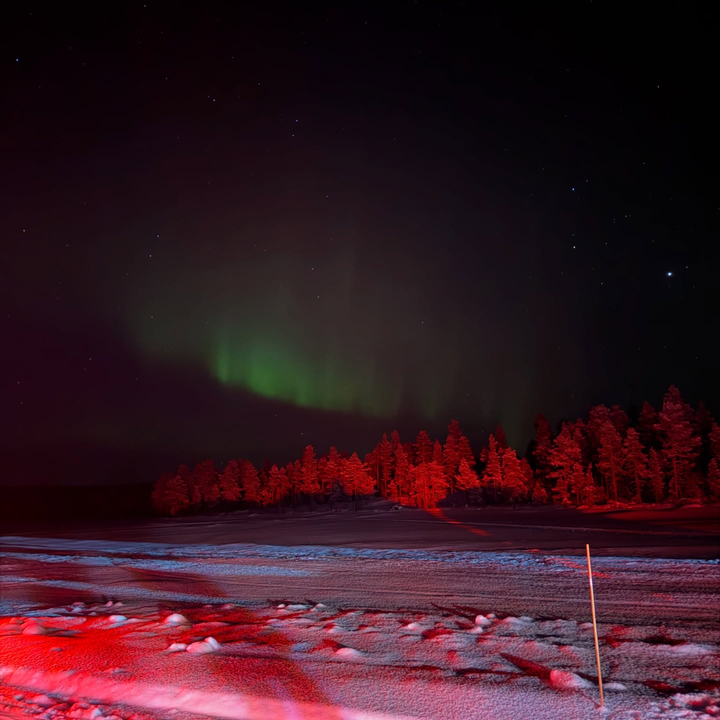 The last past months I was quieter but not hibernating… just preparing for what’s next - stay tuned
.
#justfast
#winterwonderland
#bordeaux
#resting
#kühtai🇦🇹