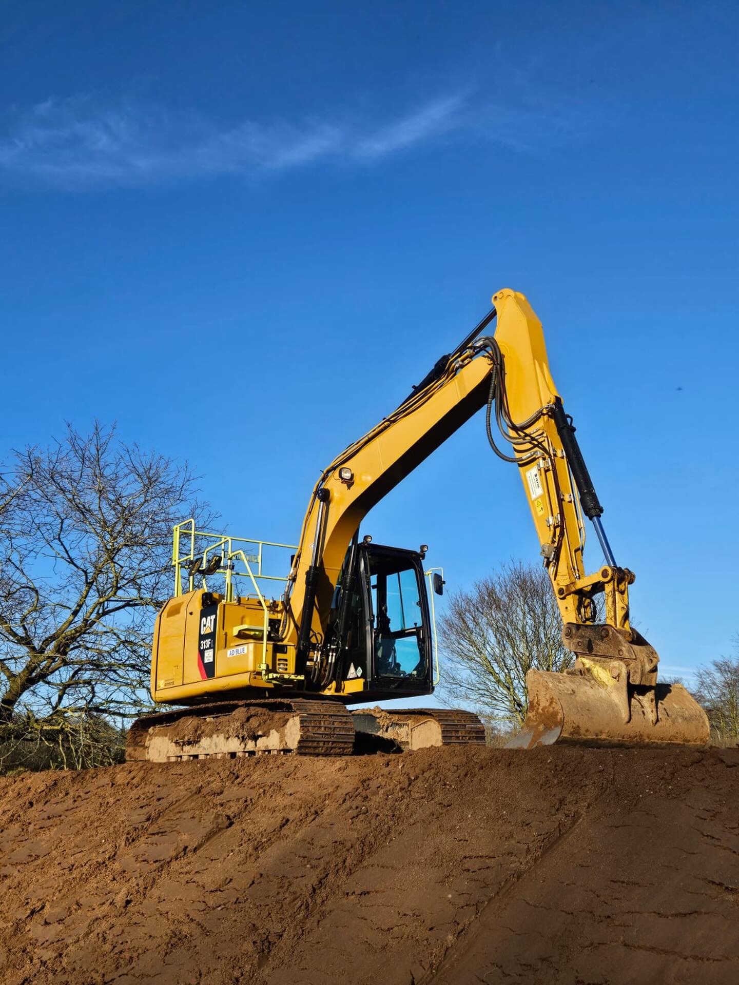 The cat is basking in the sun today. After a shift of topsoil stripping.