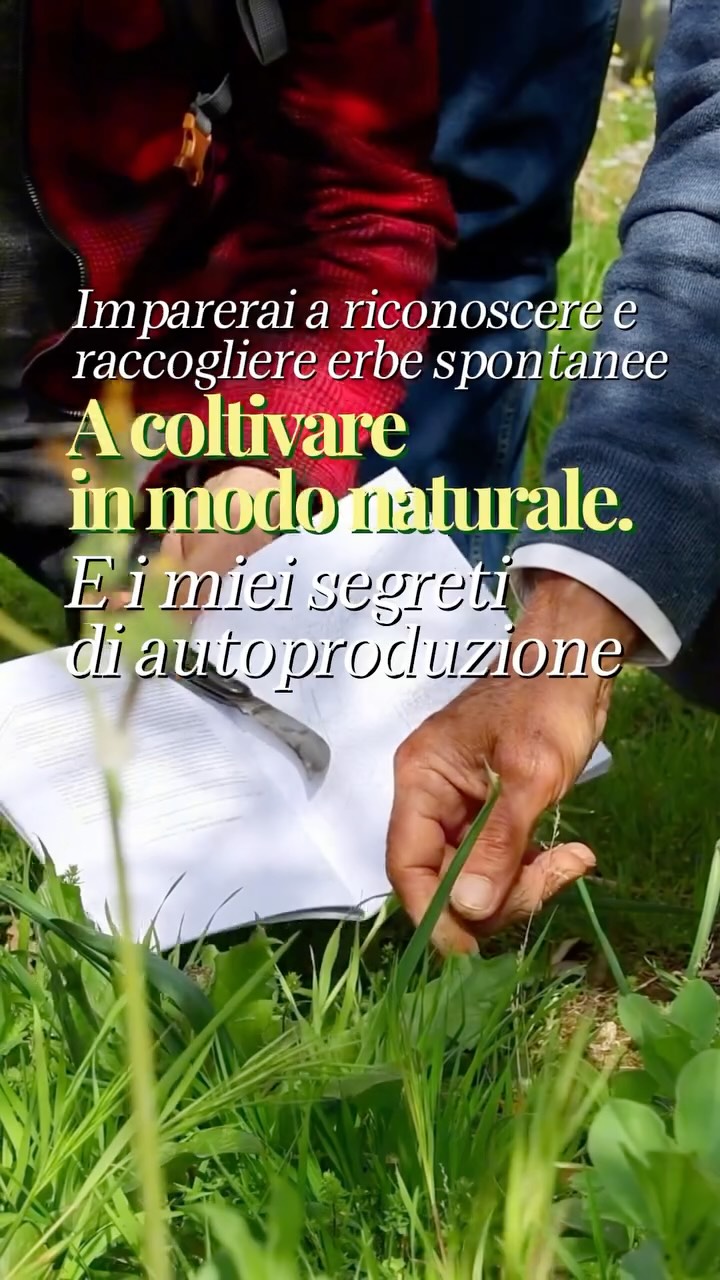 🌿Il 28 Marzo a Livorno - Un evento da non perdere🌿
Una giornata speciale immersi nella natura, tra campagna e vista mare sulle colline livornesi
Impareremo a riconoscere e raccogliere le piante spontanee commestibili, parleremo di orto (in terra o in casa) e scopriremo i segreti dell’autoproduzione: pane, germogli e ricette naturali e
🍃Dalla teoria alla pratica, fino a un pranzo genuino e
condiviso
🌼Un’esperienza per chi ama la natura e vuole imparare
qualcosa di nuovo
🧑🧑🧒🧒 I giovani fino a 18 anni partecipano gratuitamente
📩Posti limitati, partecipazione solo su prenotazione
Scrivimi in privato per tutte le informazioni e per riservare il tuo posto!
Non vediamo l’ora di conoscerti ❤️