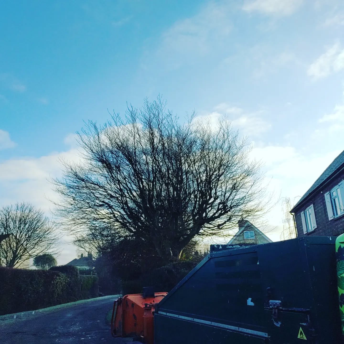 Beech tree we reduced this morning in Bosham 🧗🌳
#arboristsofinstagram #treesofinstagram
#treesurgeon