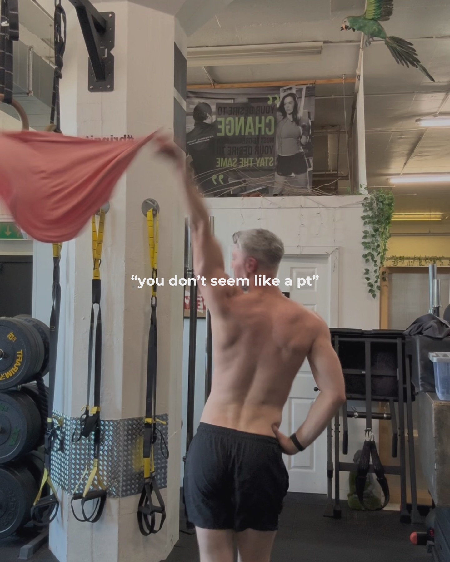 i don’t? good.
results
for all folks
especially those who never felt comfortable in gyms.
#queerstrength #lgbtqiafitness #dancegym #inclusivecoaching