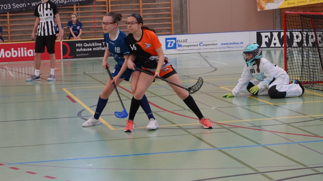 Unsere U17 absolvierte am Wochenende ihre letzte Runde und beendet die Saison mit 20 Punkten auf dem 6. Platz 💙🤍🦁
#floorballzurichlioness #juniorinnen #swissunihockey #lioness #floorball