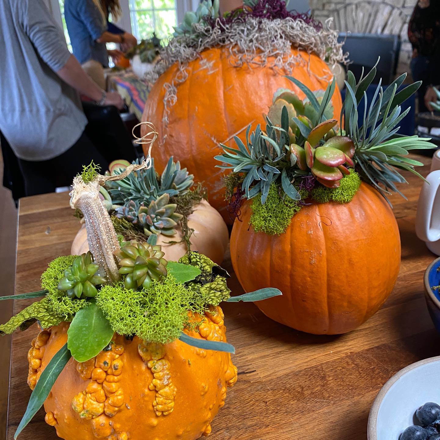 Succulent succotash!
These creations today share the fun of getting together and finding unexpected talent and beauty. 🎃