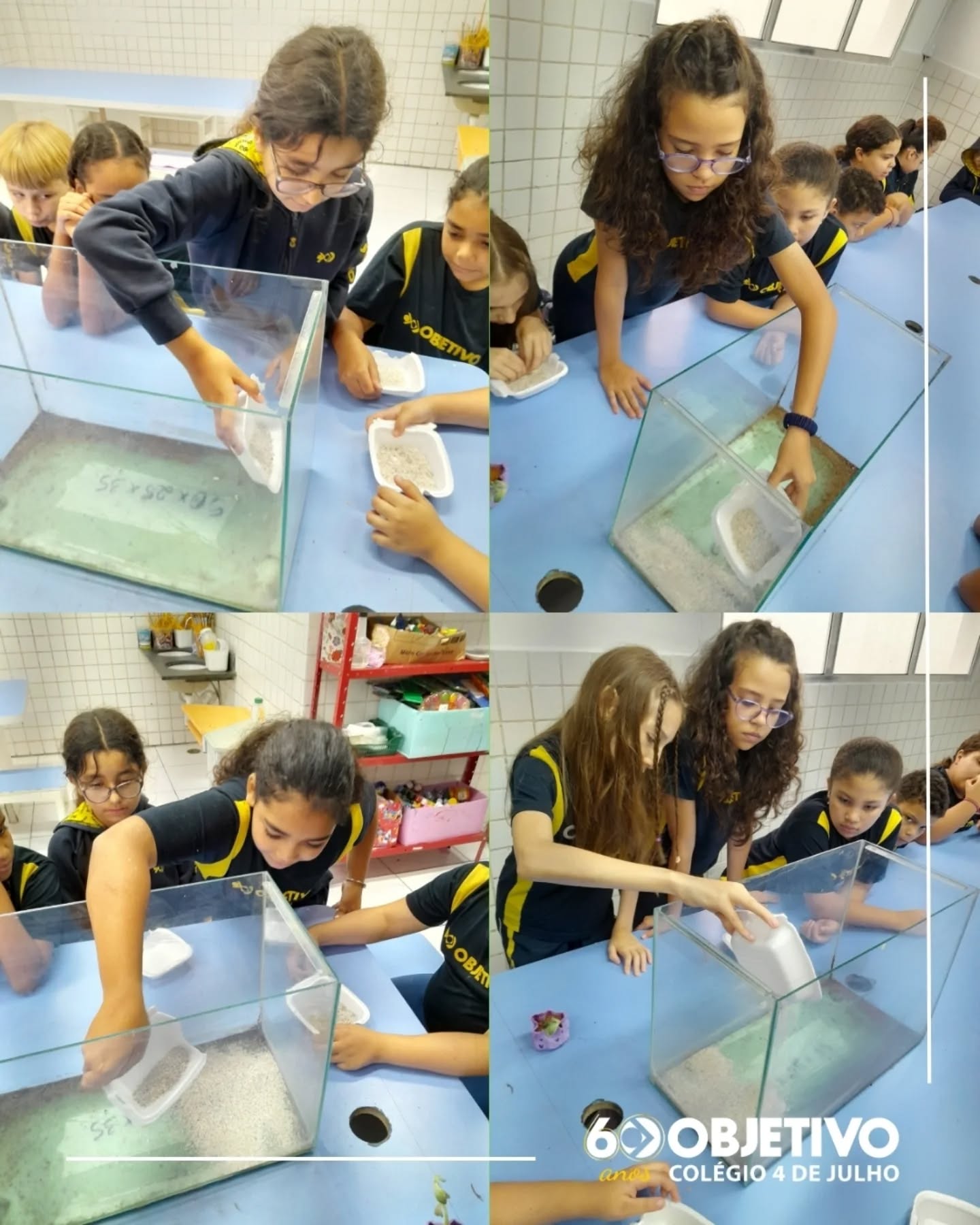 🌱💧 Aprendendo na prática!
Nossos alunos colocaram a mão na terra e viveram uma experiência incrível com a construção de um terrário! 🌿✨
A atividade teve como objetivo observar, de forma prática, o ciclo da água na natureza, despertando a curiosidade e o interesse pela ciência.
Com muito cuidado e dedicação, eles montaram cada etapa: prepararam o solo, plantaram as mudinhas e finalizaram vedando o terrário para acompanhar todo o processo. 🌎💦
Foi um momento de aprendizado, descoberta e conexão com o meio ambiente! 💚
Colégio 4 de Julho — 38 anos formando vidas com base cristã.