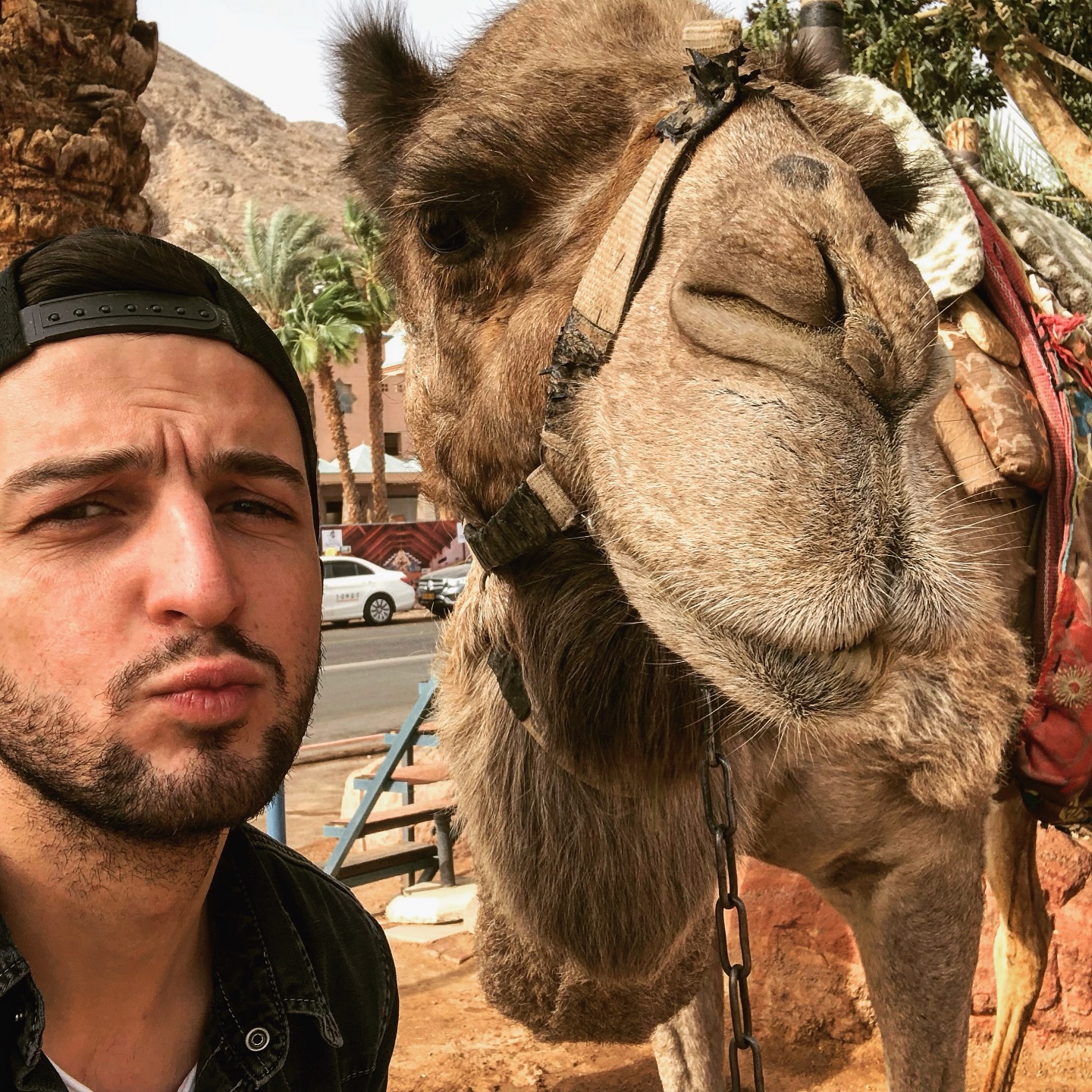 🐪 Kisses for you 💋 DANKE… für die ersten 1.000 Follower liebe Wildlife Community! 🫶🏽 Danke für euer Vertrauen, eure Unterstützung von Tag 1 an und für euer offenes Feedback.
Ich freue mich auf die weitere Reise und viele tolle Wildlife Momente mit euch 🤎
& Ich verspreche euch, es werden noch richtig viele coole Themen und Kooperationen kommen… Seid gespannt! 🤩
#wildlife #instagram #followers #kiss #danke