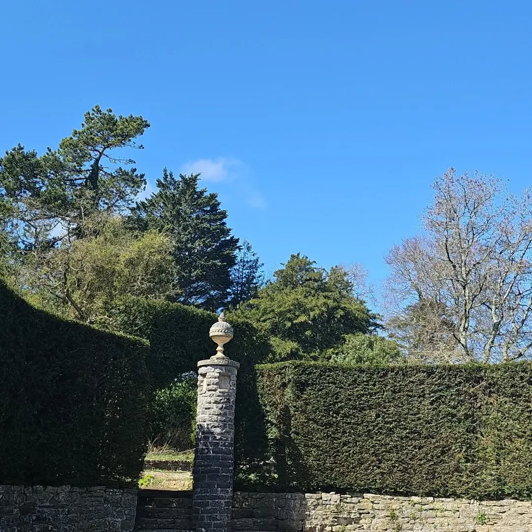 Bank holiday family catch up around Duffryn Gardens and we missed the rain which was even better
#ntduffryngardens #thisiscymru