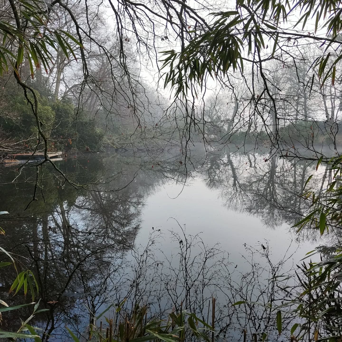 We love spending the day working around one of our client's lakes. This time of year we get to do some woodland clearing along with plant dividing and cutting back dead foliage ready for the spring.
.
.
.
.
.
.
.
.
.
.
#gardening #outdoors #garden #gardener #gardenersofinstagram #woodland #lake #outdoor #outdoors #outdoorphotography #outdoorlife #water
