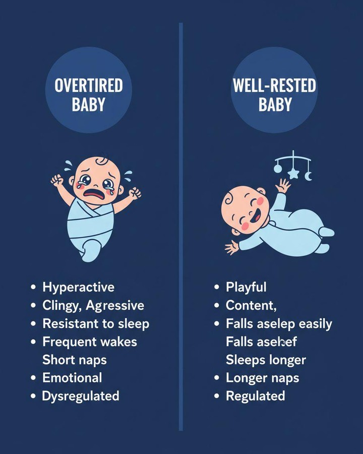 Naps aren't just a break for you—they're absolutely essential for your child's brain development.
During naps, your child's brain is:
✨ Consolidating memories
✨ Processing learning from the day
✨ Regulating their nervous system
✨ Supporting growth hormone release
A well-rested child = better emotional regulation, focus, and learning capacity.
An overtired child = hyperactivity, meltdowns, and difficulty concentrating.
Naps are non-negotiable for healthy development, not optional.
Comment SLEEP HELP if you're struggling to protect nap time, and see if my support is what you need
#sleepmatters #gentleparenting #sleepnanny #tiredmums #parentinghelp #familyhealth #sleepsupport #mumwellness