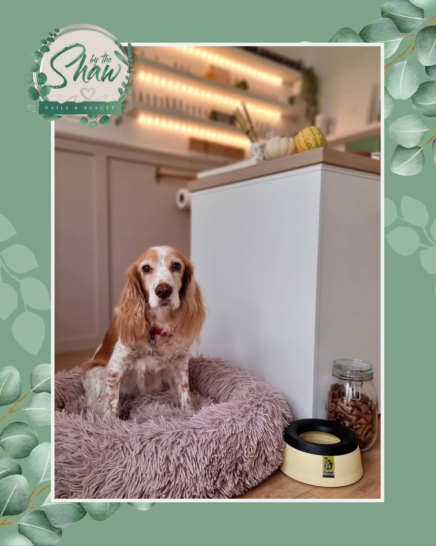 🐾 Dog-Friendly Space! 🐾
.
I love any excuse to see my clients fur babies! 💕
Meet these two adorable pups in the salon, one most of you will know, my Ruby, while Maevis enjoyed some well-earned centre stage attention. Dogs are free to make themselves right at home — snuggled up in a cozy bed, or keeping a close eye on proceedings (and maybe hoping for a treat or two! But not during treatment time obviously 💅🏻).
My space is calm, welcoming, and pet-friendly — because relaxation shouldn’t be just for people. 🐶✨
If you’d like to bring your well behaved pup with you to your next appointment, just let me know — I'd love to meet them.
.
#DogFriendlySalon
#ByTheShaw
#SalonDays
#DogLoversWelcome
#RelaxWithYourPup
