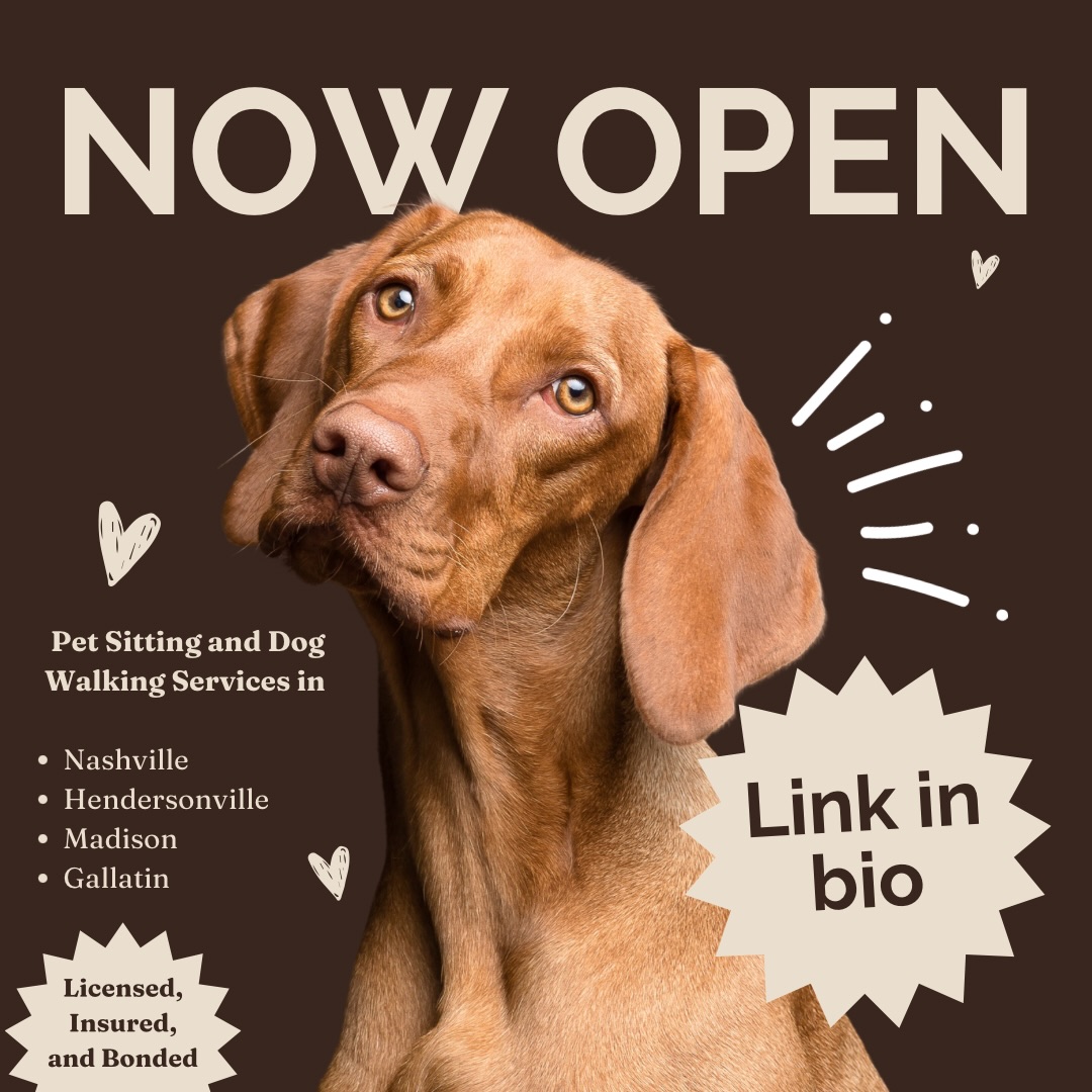 POV: you finally found a pet sitter who feels like family 🐾
Since opening, Haven Pet Co. has been getting a lot of love and our calendar is already starting to fill up.
We don’t just “watch” dogs.
Our intentional care plans are tailored to your dog’s stage of life and your goals for them — whether that’s building confidence for a puppy, reinforcing good habits, creating healthy routines, or helping your dog thrive in their environment.
Serving families in
Nashville
Hendersonville
Madison
Gallatin
Licensed, insured, and bonded.
Care that’s thoughtful, structured, and built around your pet.
If you’re planning travel, long workdays, or just need extra help with walks, now is a great time to secure a spot before the schedule fills.
Tap the link in bio to book.
Tag a friend who always worries about leaving their dog 🐶