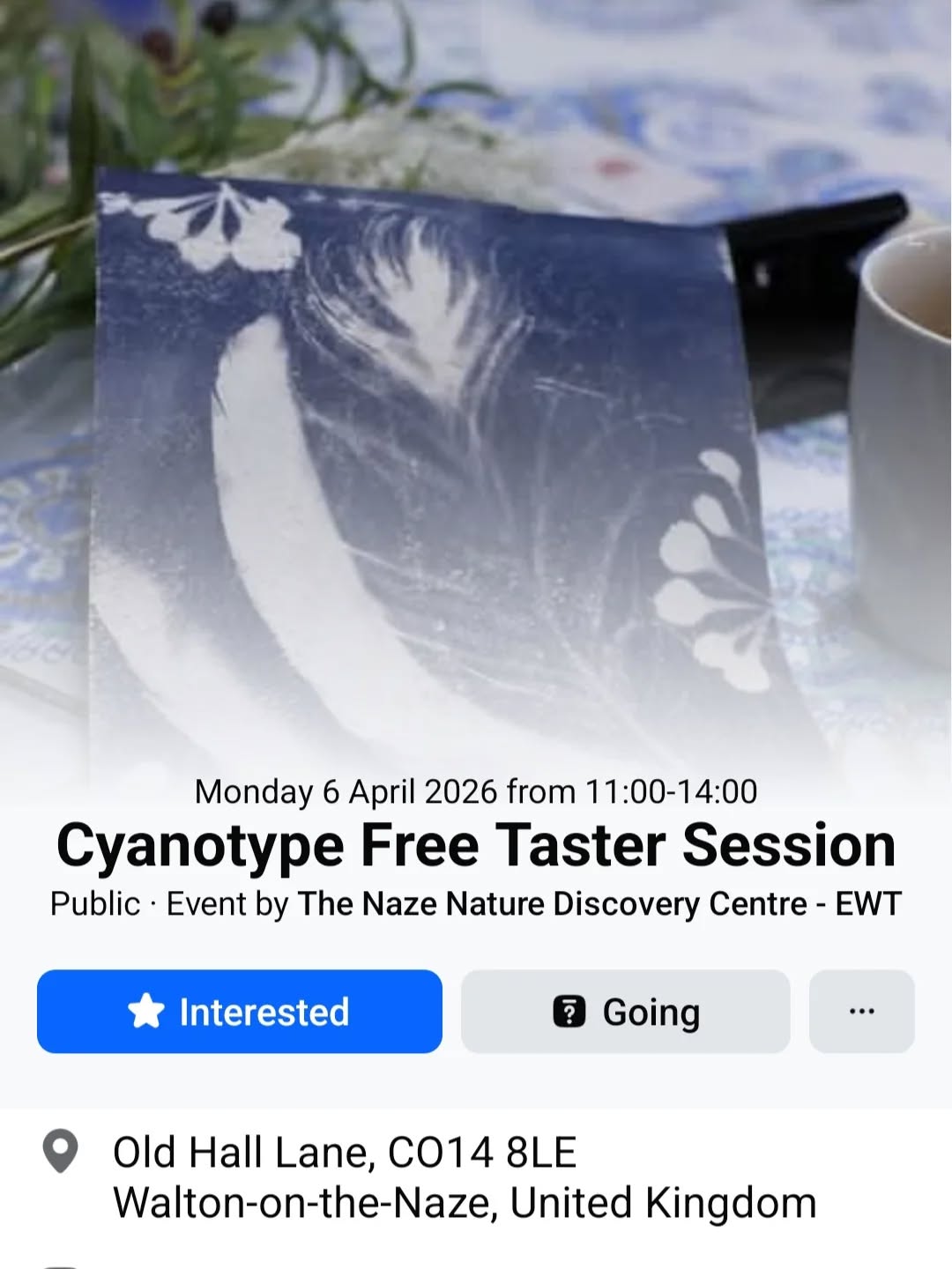 It’s free to take part — just come along and gather what you can from the Naze: shells, shark teeth, foliage, botanicals… even rabbit poo if you like.
This is about building a connection — between people, place, and nature.
Together, we’ll weave a collective tapestry that reflects our shared community and the natural environment around us.
Through what we gather, we’ll explore the changing landscape, the history held in the land, and the memories we’re creating now — leaving something meaningful for the future