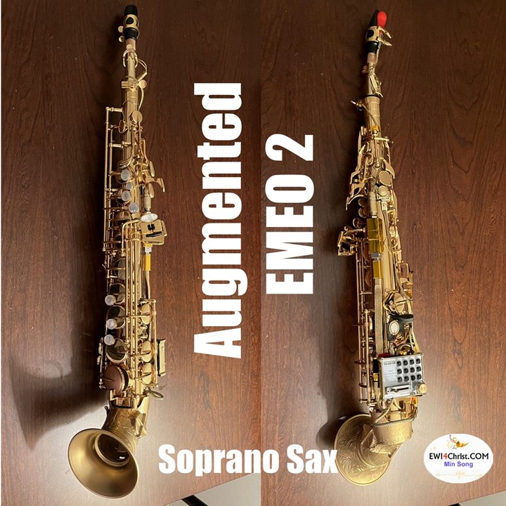 Now I have two sets for my augmented EMEO. This is a soprano version. I added extra mid octave key. My EMEO can play 3.5 octaves now( Thanks to the Noise midi controller). I also added multiple midi buttons for various midi controls. To overcome too much weight on the right thumb, I also created the special neck strap which can divert the weight on the thumb to check/abdomen. It has a bite sensor for vibrato, bitch bend.
#emeomusic #ewi #windcontroller