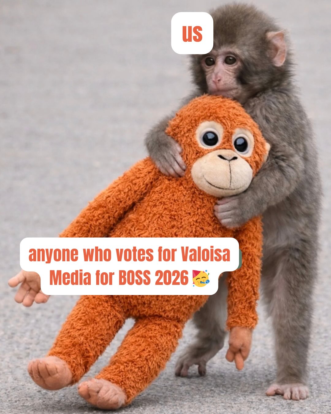 Protecting your best angle like Punch protects his monkey 😉👑🧡 Yes, we HAD to hop on this trend.
Friends, we are within 10 days of voting closing for BOSS 2026.
👉 Which means that you only have SEVEN more chances to vote for the V team for “Best in Social Media Management.”
Your support means the world. 🌎 Click the link in our bio, scroll scroll scroll down and vote! 🙌 @valoisamedia #boss2026 #socialmediamanagement #contentcreation