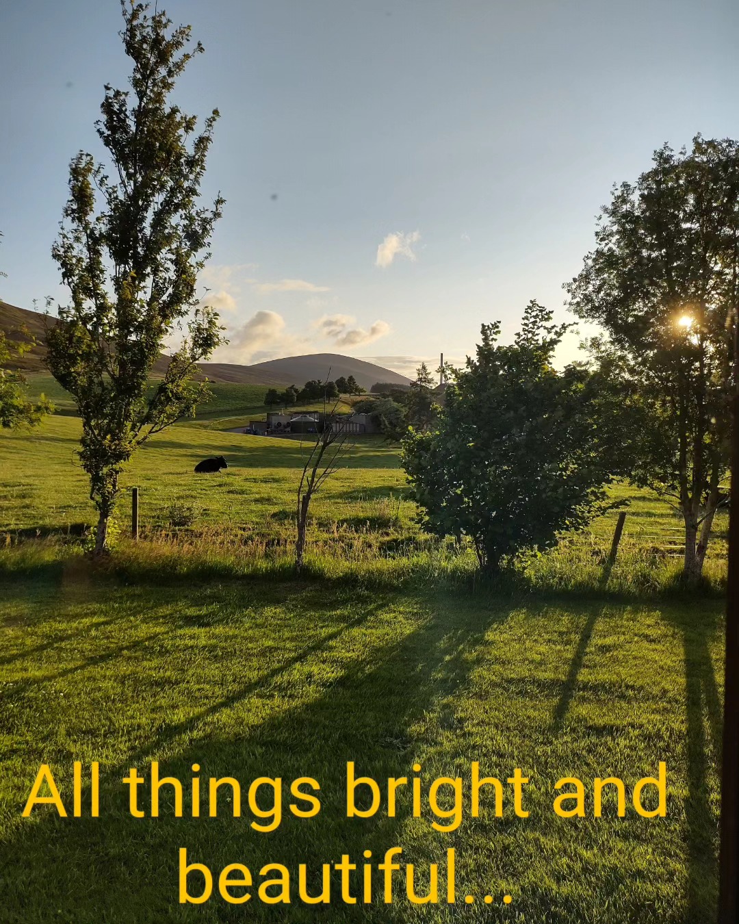 #allthingsbrightandbeautiful #scotlandscenery #creatorgod