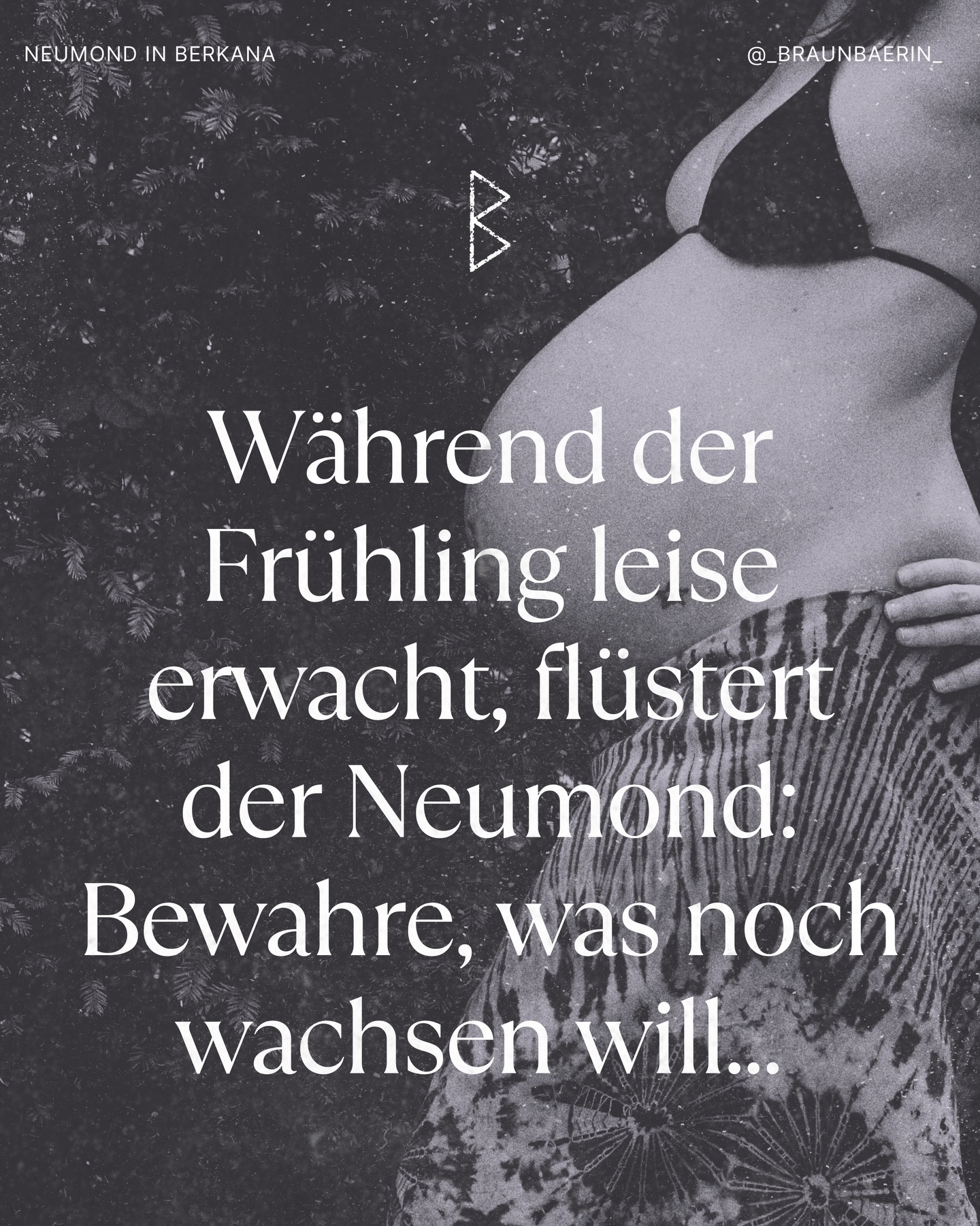 ᛒ
Morgen beginnt mit dem Neumond wieder ein neuer Zyklus.
Und mit dem ersten Atem des Frühlings öffnet sich ein Raum, in dem Leben neu entstehen will.
Berkana – die Birke.
Ein uraltes Zeichen für Neubeginn, für Wachstum, für das leise Mysterium des Werdens.
Sie trägt die Kraft der Mutter in sich.
Nicht Rolle, sondern Archetyp:
das Hüten, das Nähren, das stille Wissen darum, wann etwas bereit ist, sich zu zeigen und wann es noch gehalten werden will.
Diese Energie ist weiblich und zugleich zutiefst menschlich.
Sie lebt in jedem von uns.
In allem, was wachsen will.
In allem, was sich noch im Verborgenen sammelt.
Vielleicht ist genau jetzt die Zeit,
nicht weiterzugehen, sondern näher zu kommen.
Zu dem, was in dir ganz leise Form annimmt.
Zu deiner eigen urweiblichen Tiefe.
In Liebe
Kaja 🪶