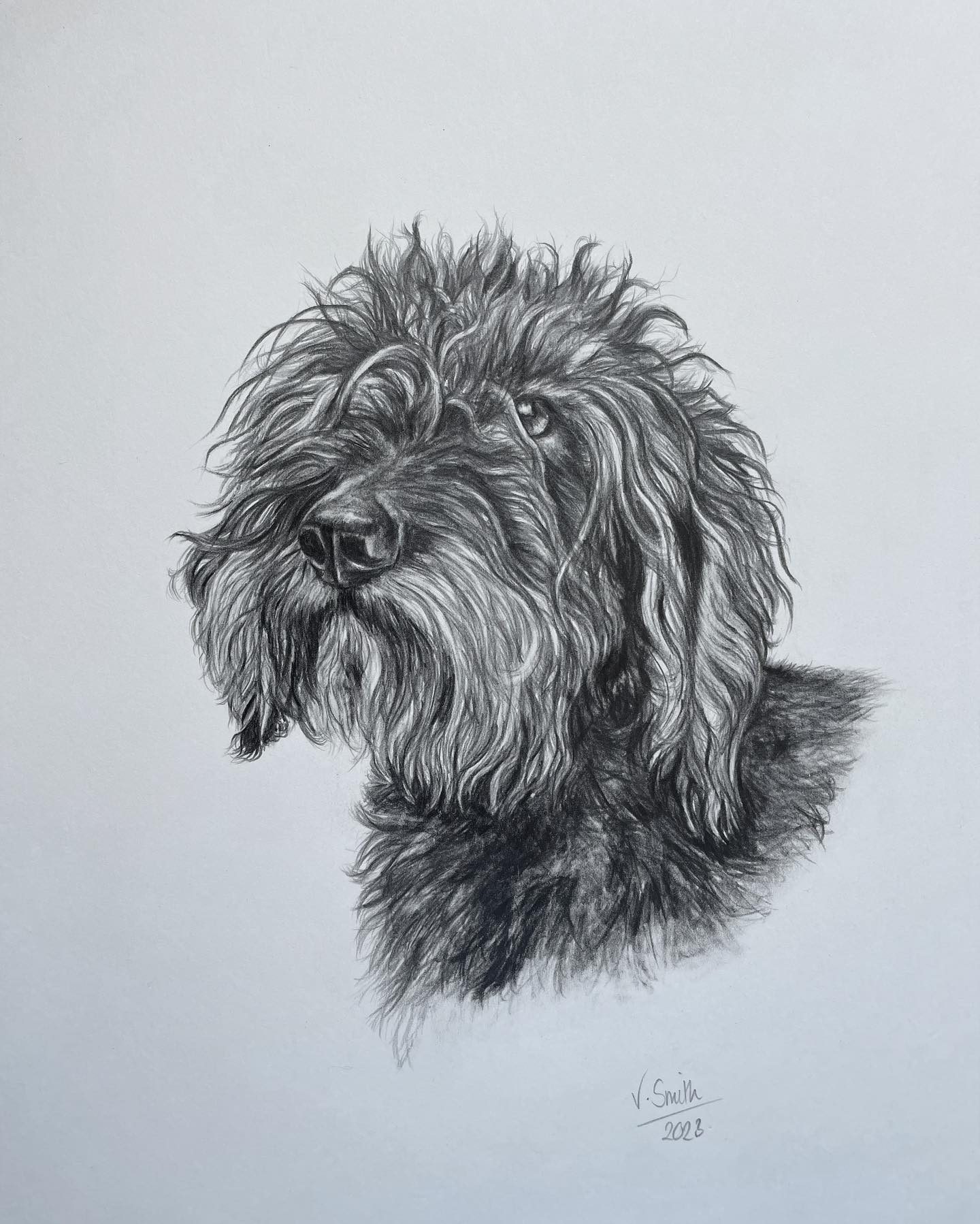Scruffy or just cute?
A recent commission of a rough coated dachshund in graphite pencil.
#dogsofinstagram #dauchshund #animalportrait #drawings #art #artist #definedbytor
