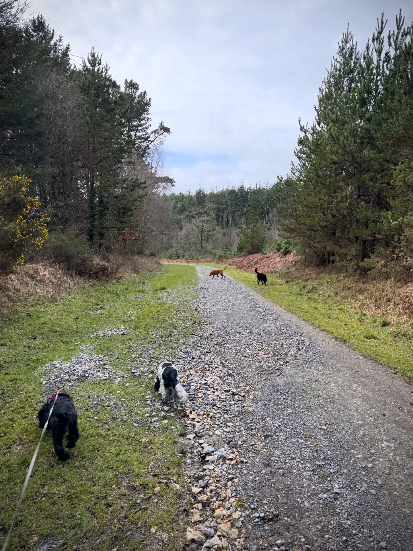 Monday crew had a blast today!