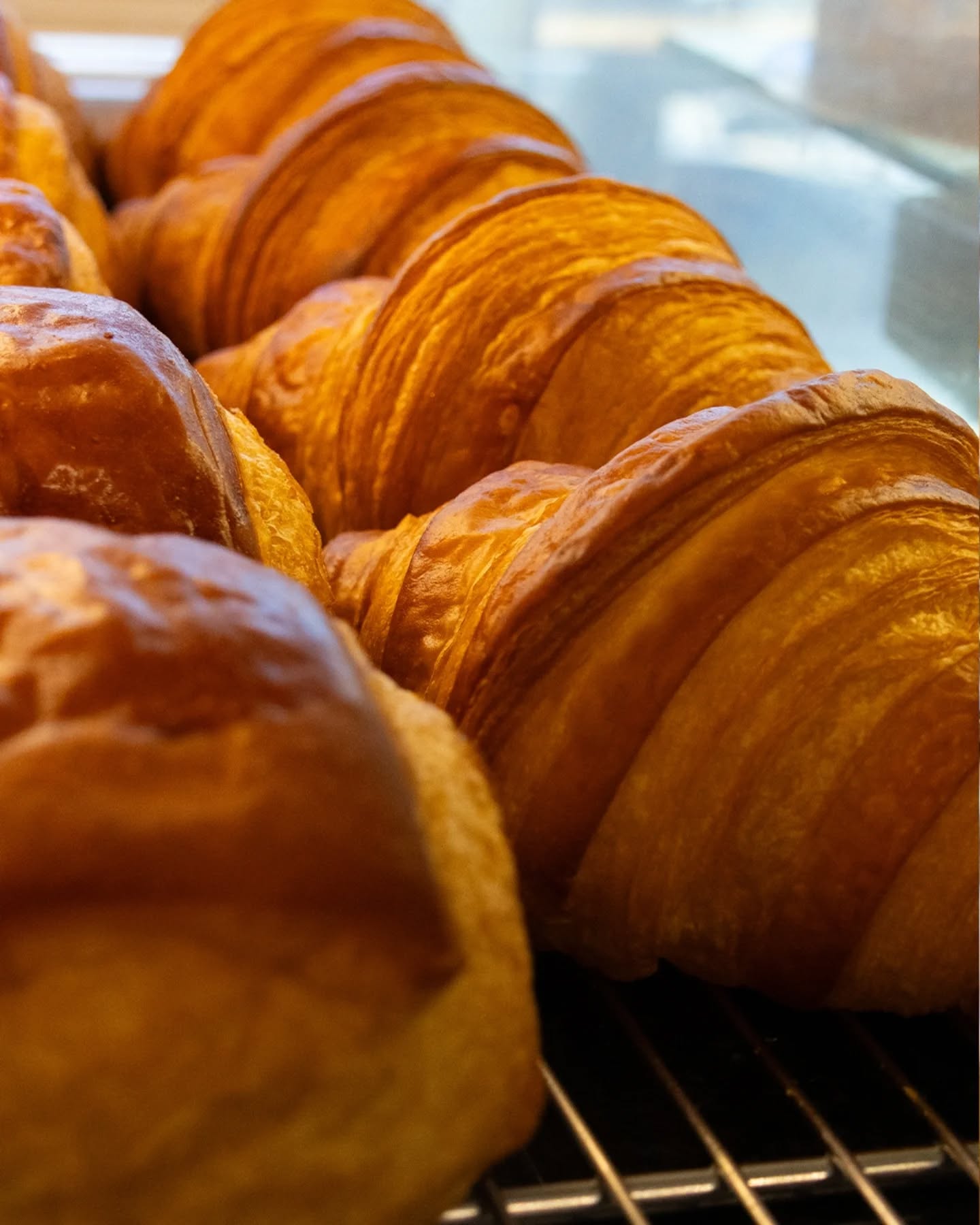 Detrás de nuestro mostrador hay más que producto: hay método, precisión y una búsqueda constante por comprender cómo dialogan los sabores.
Cada elaboración responde a ese rigor.
La presentación importa, pero más aún la estructura, el equilibrio y la experiencia que acompaña cada pieza cuando llega a la mesa. 💛🍞🤲