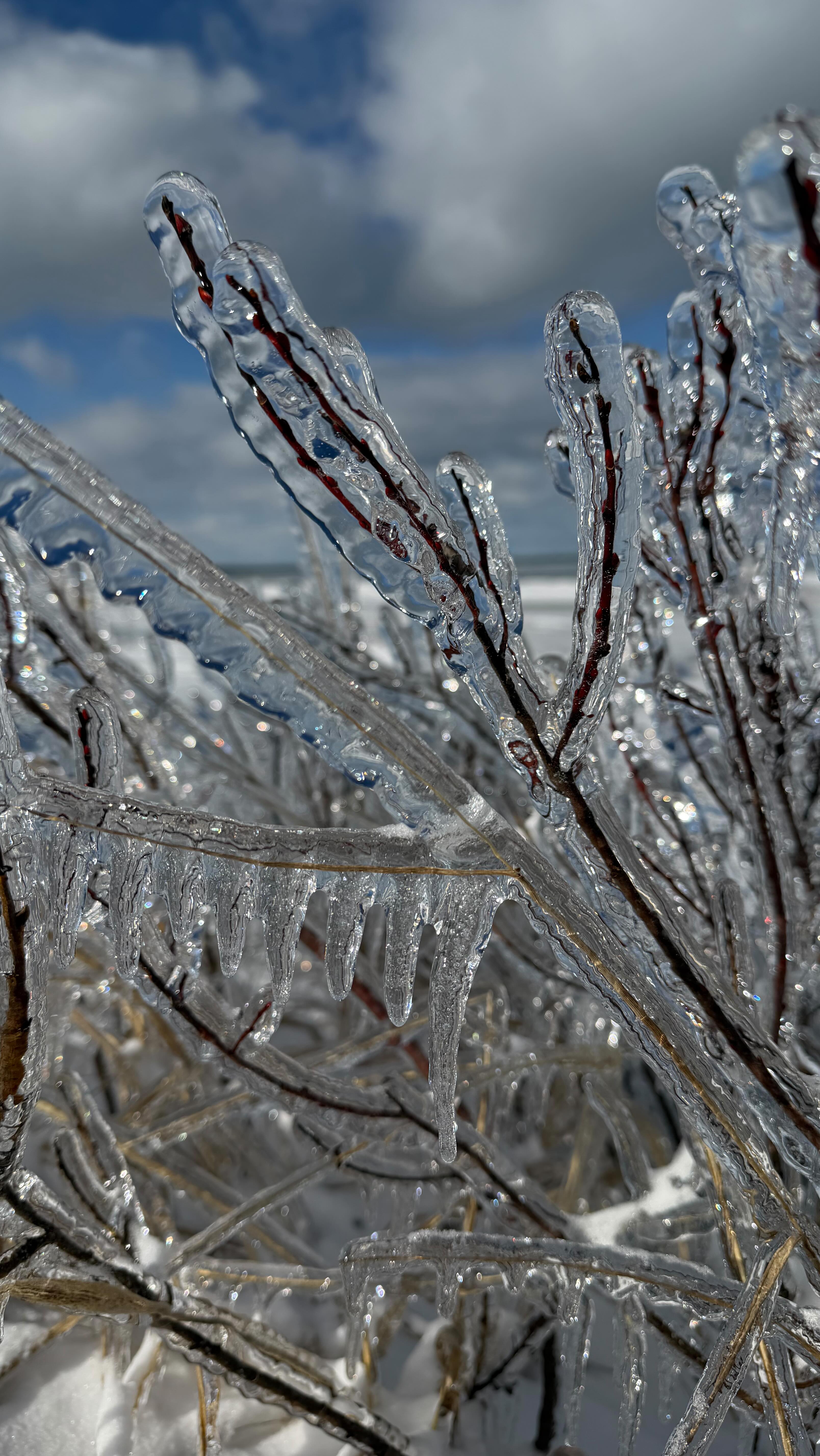 Ice Storm Northern Michigan 2026 #greatlakes #extremeweather #icestorm