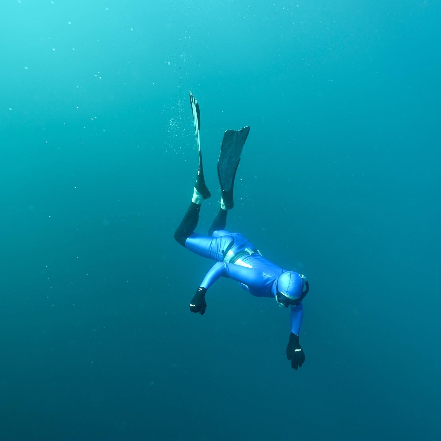 Photo : @zandithemermaid
Custom made wetsuit: @coralwet
Last minute loan of long johns to hide my flesh from apex predators: @sachaspex